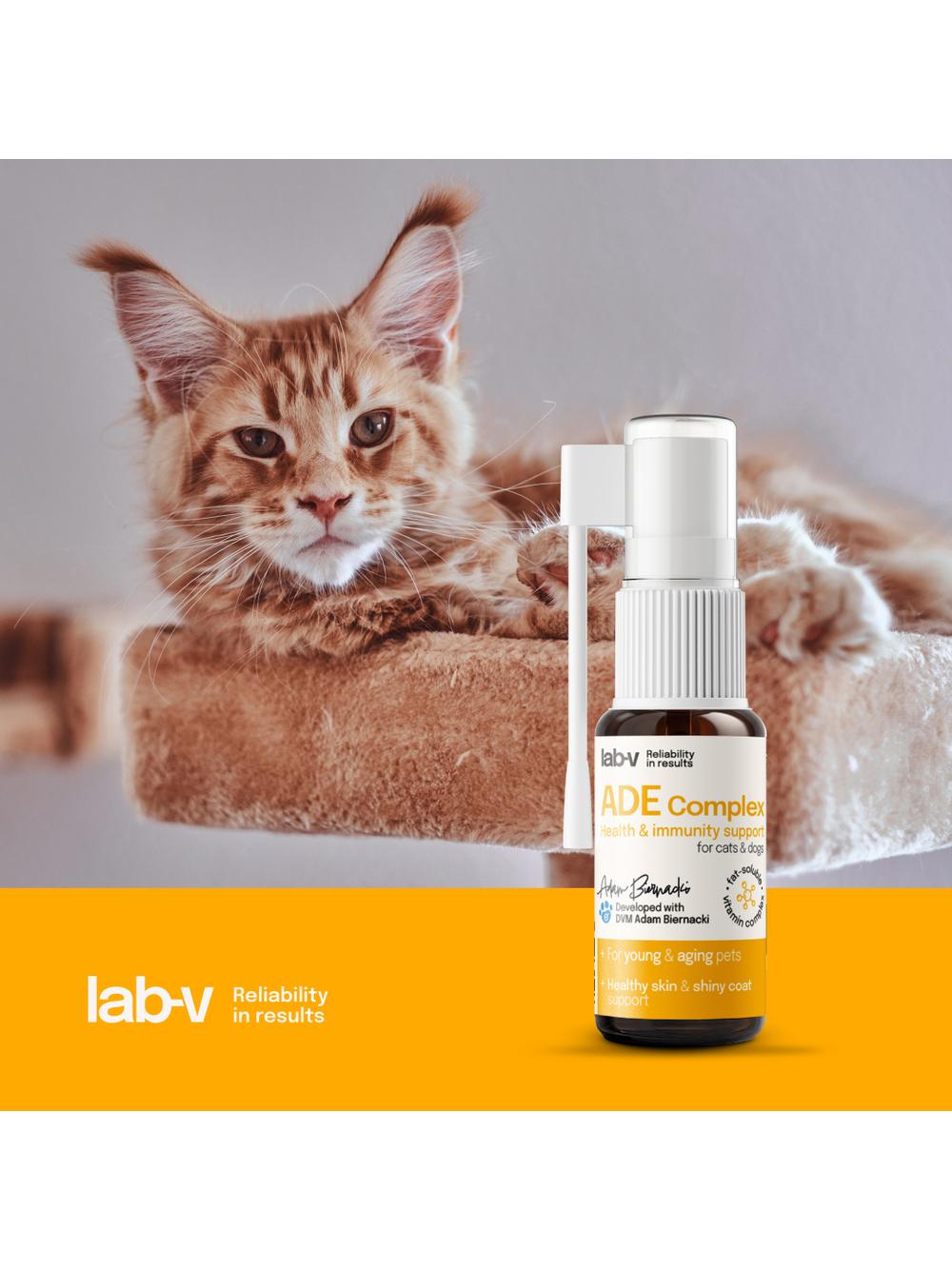 Lab-v ADE Complex – Kompleks witamin A, D i E w formie spreju dla psów i kotów 2 x 10ml