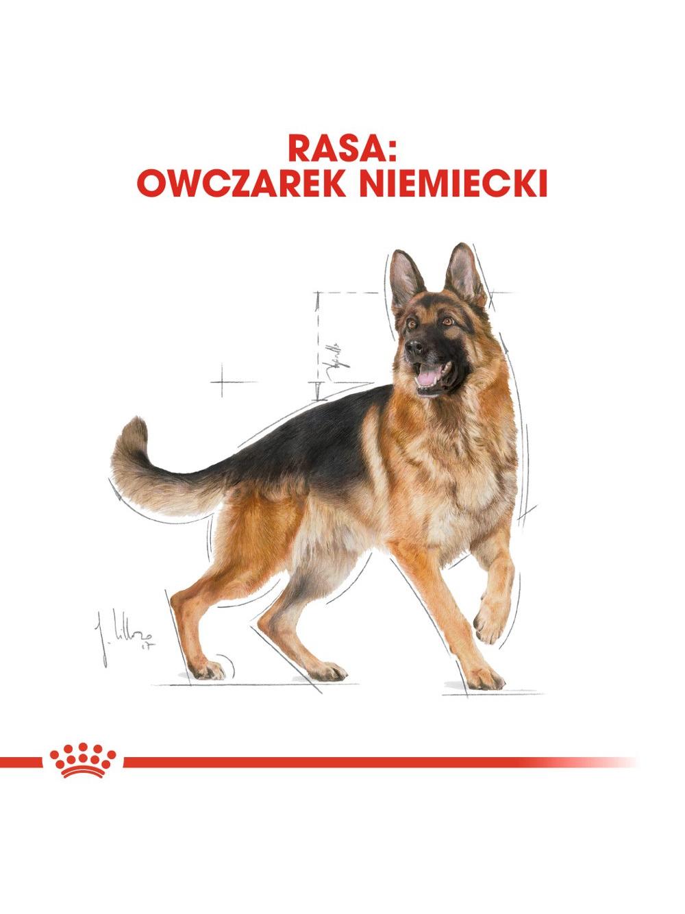 ROYAL CANIN® German Shepherd Adult karma sucha dla psów dorosłych rasy owczarek niemiecki 11kg