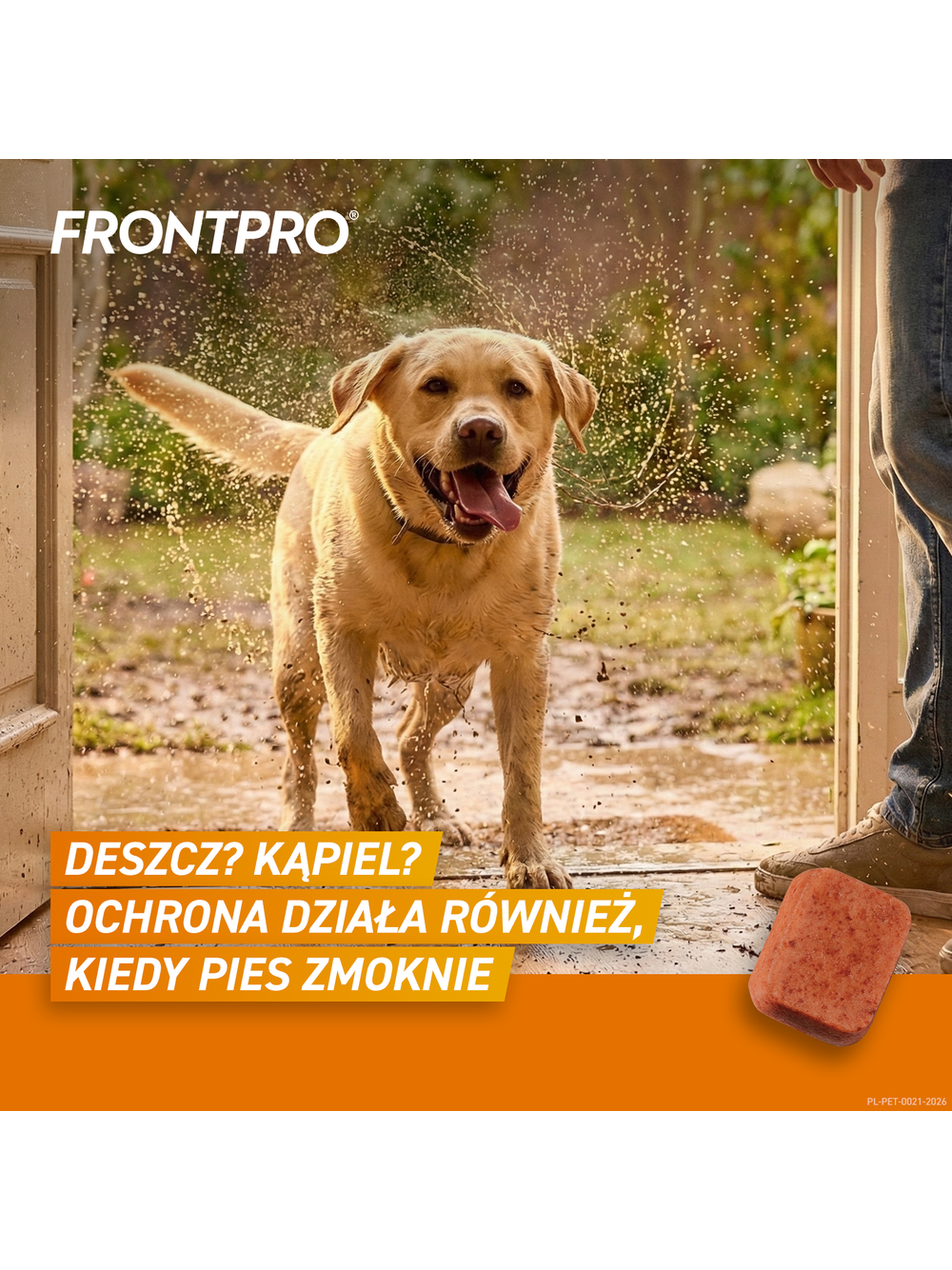 Frontpro tabletki na pchły i kleszcze XL 136mg 25-50kg 1 TABLETKA