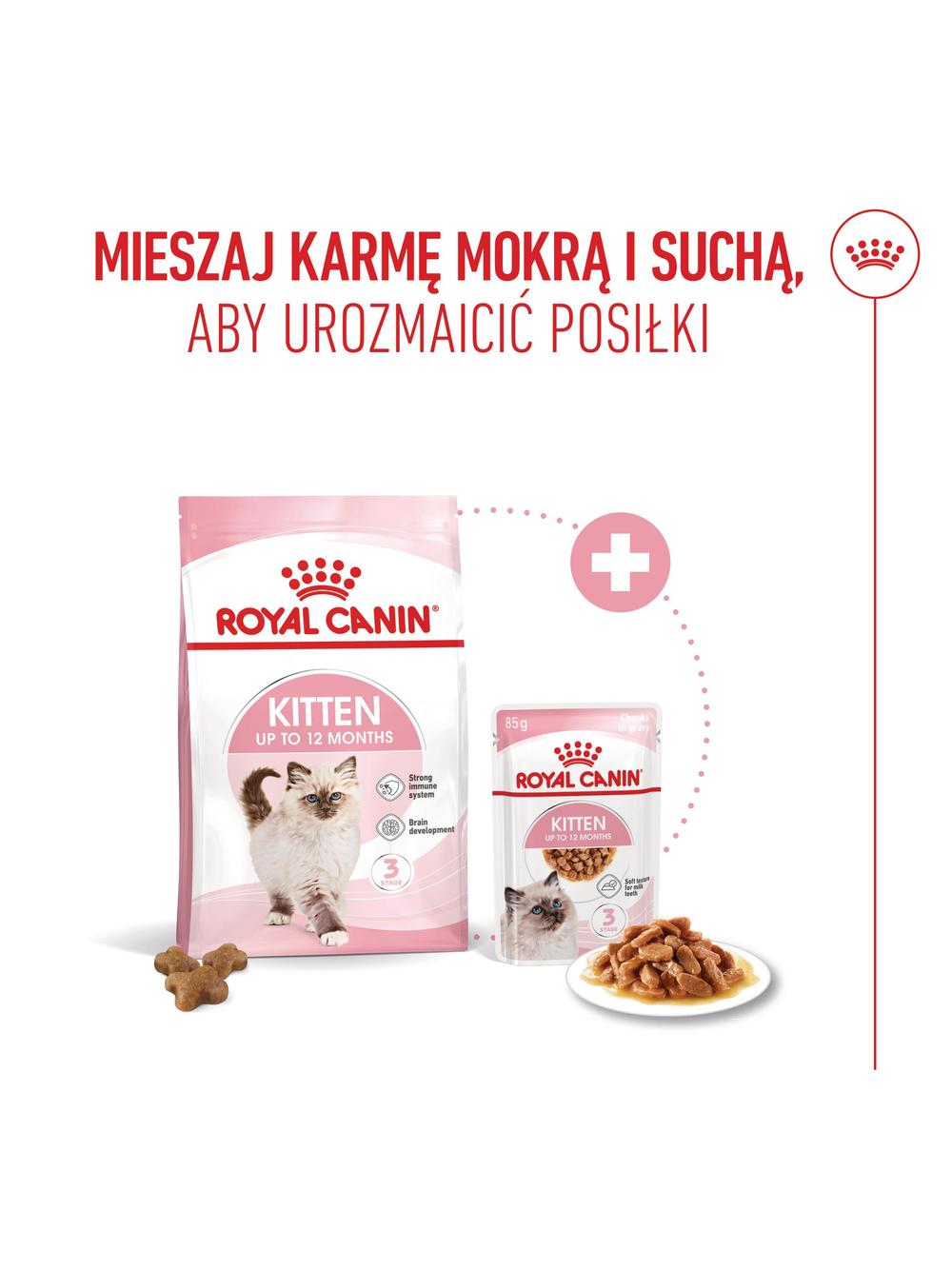 ROYAL CANIN  Kitten 10kg karma sucha dla kociąt od 4 do 12 miesiąca życia