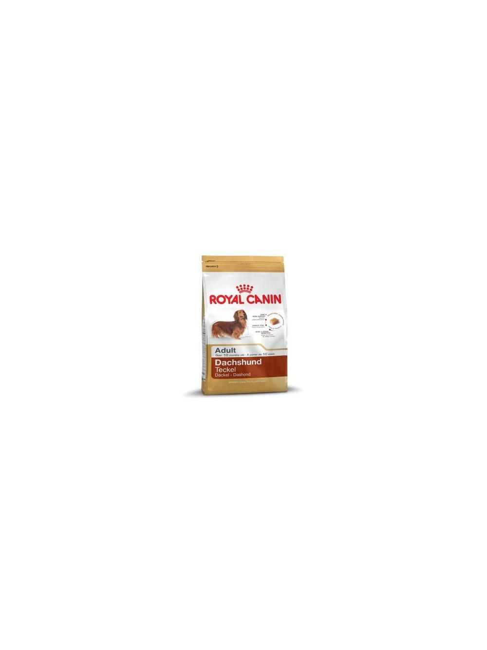 ROYAL CANIN Dachshund 7,5kg karma sucha dla psów dorosłych rasy jamnik + niespodzianka dla psa GRATIS!