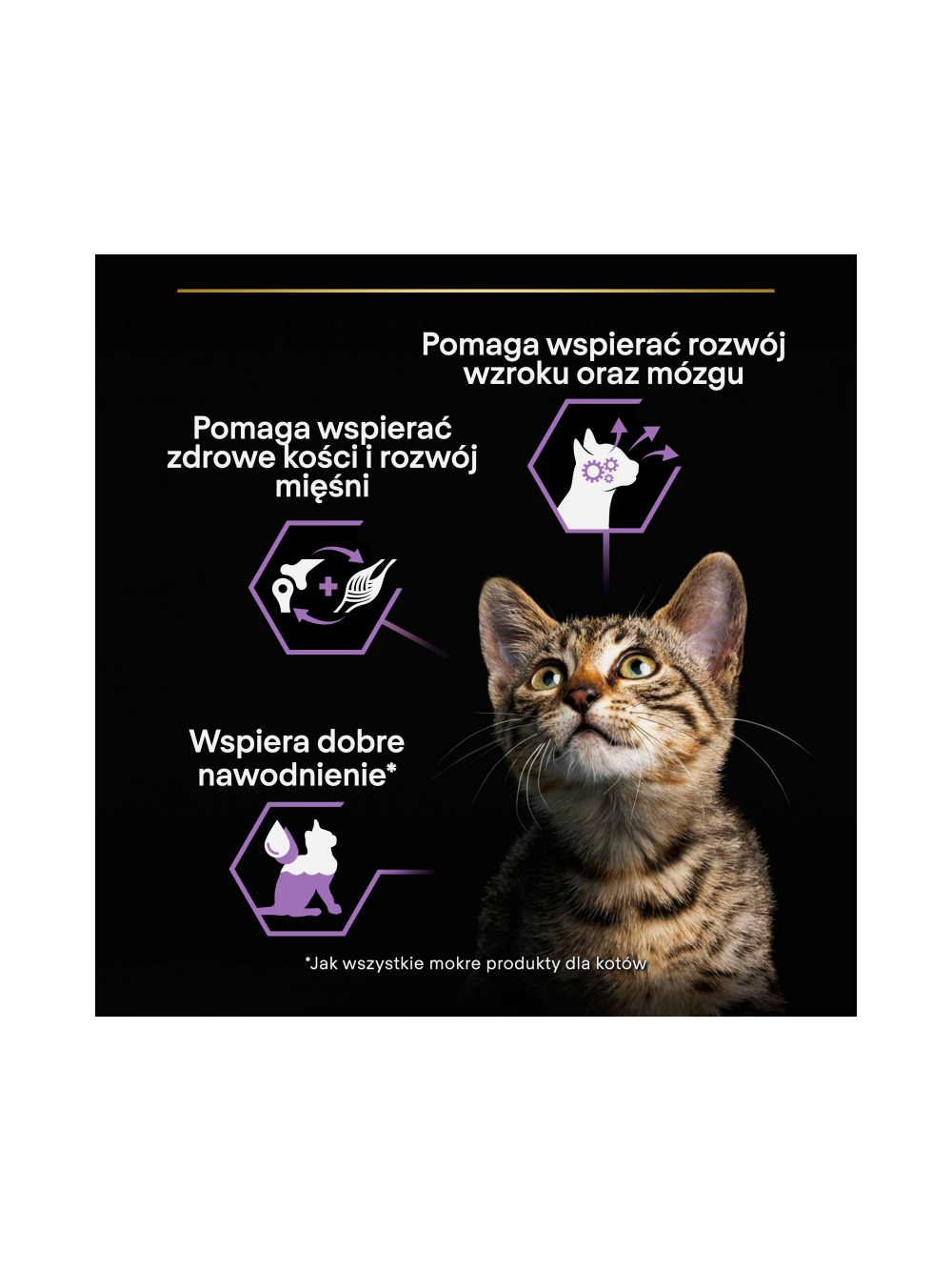 PRO PLAN Kitten Mus z Kurczakiem Mokra karma dla kociąt 24x85g