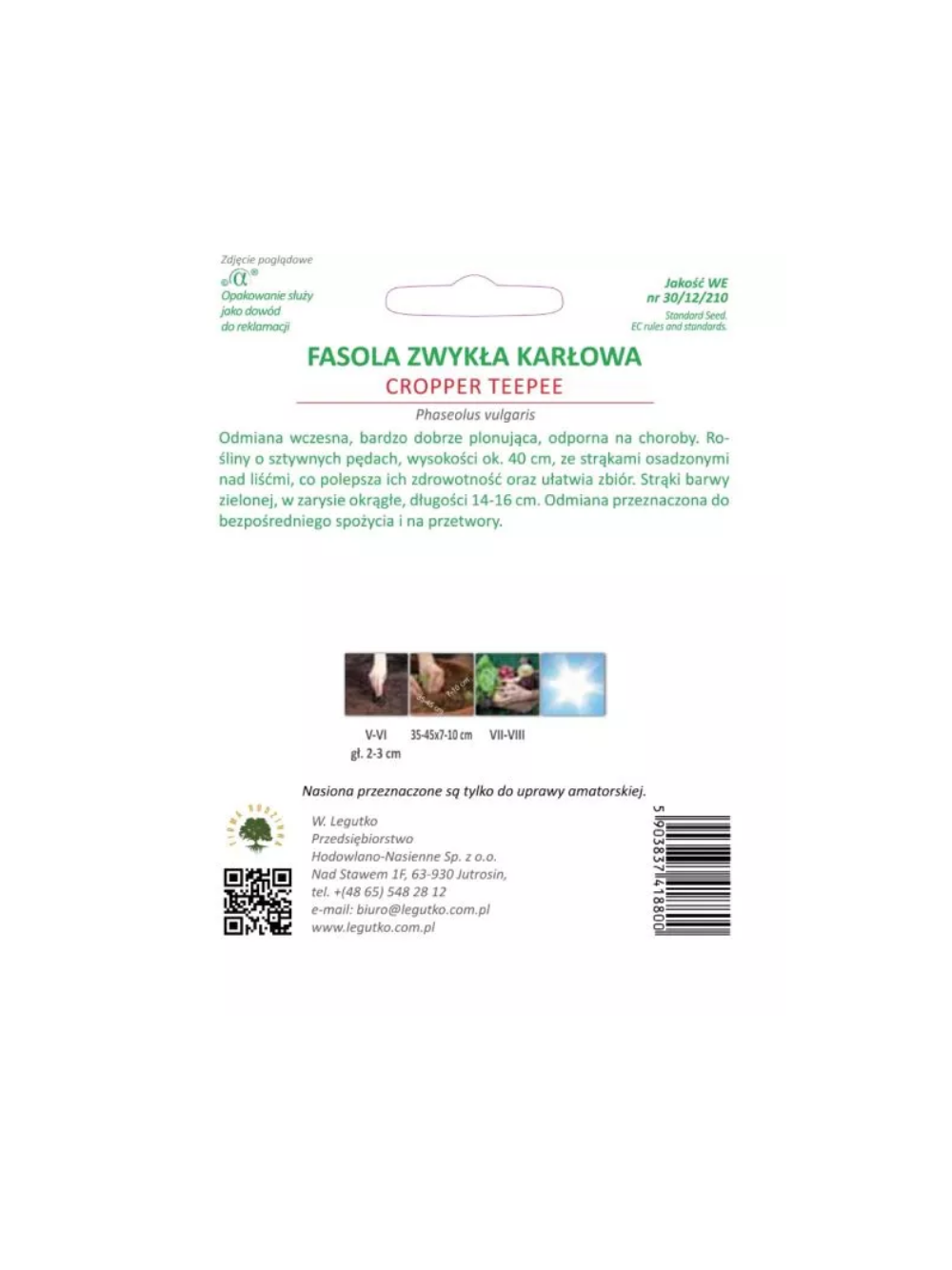 Fasola zwykła szparagowa karłowa zielonostrąkowa Cropper Teepee - śr. Wczesna