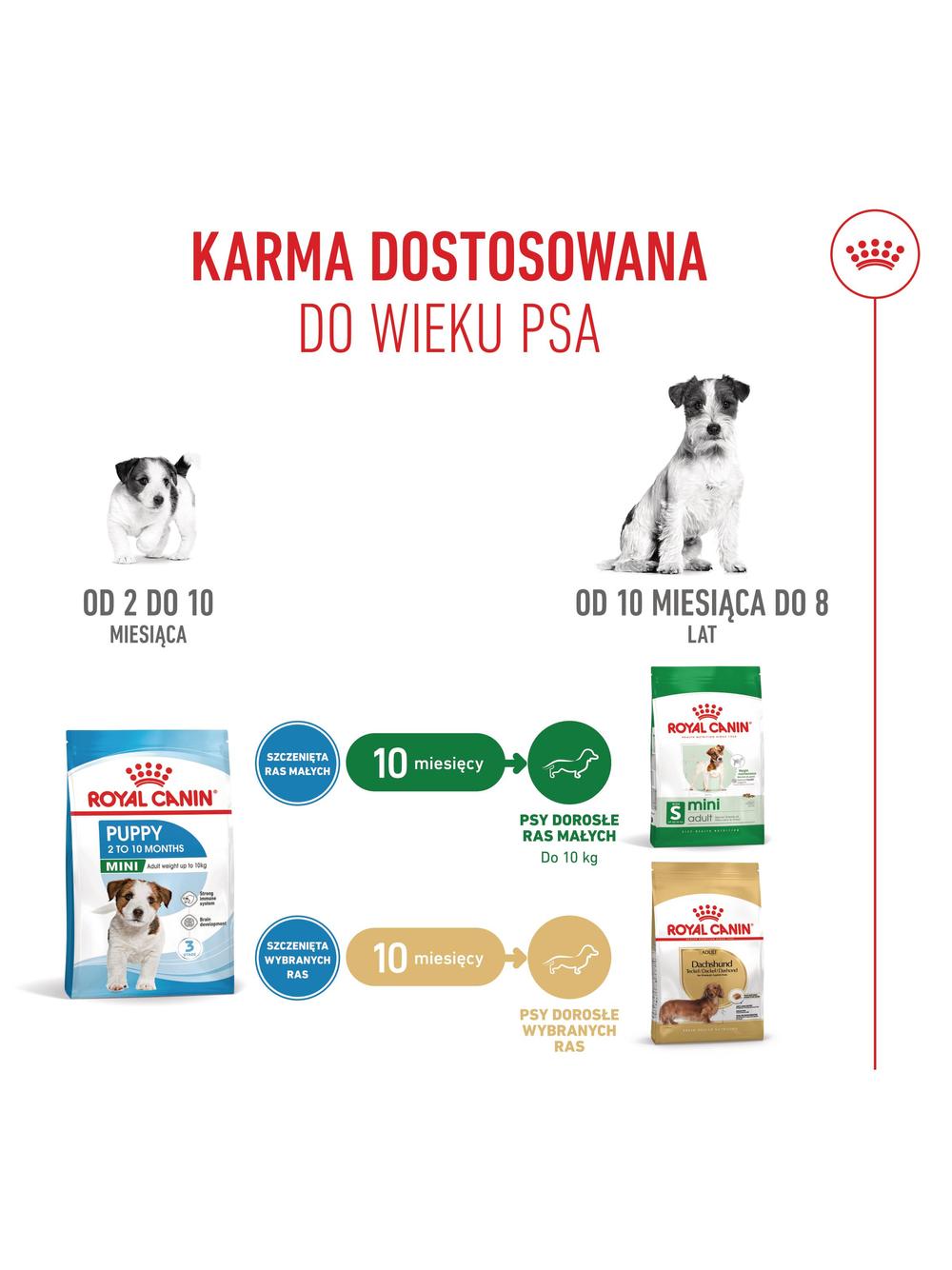 ROYAL CANIN Mini Puppy 800g karma sucha dla szczeniąt, od 2 do 10 miesiąca życia, ras małych