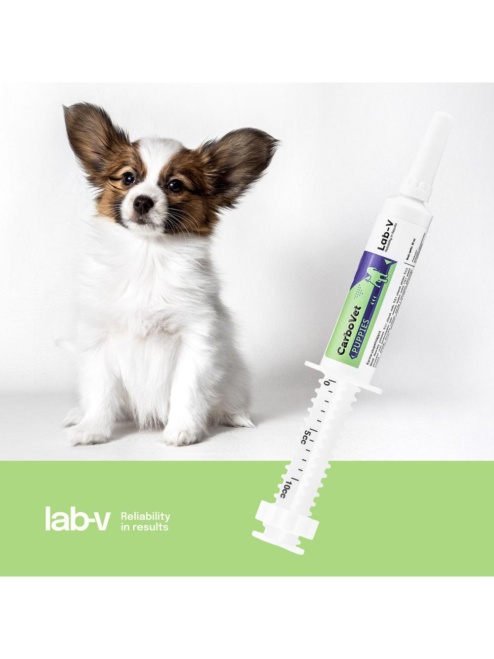 Lab-v CarboVet Puppies - Preparat stosowany podczas zatruć dla szczeniąt 10 ml