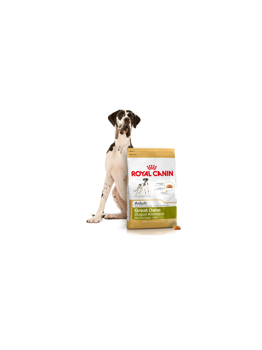 ROYAL CANIN Great Dane Adult 12kg karma sucha dla psów dorosłych rasy dog niemiecki  + niespodzianka dla psa GRATIS!