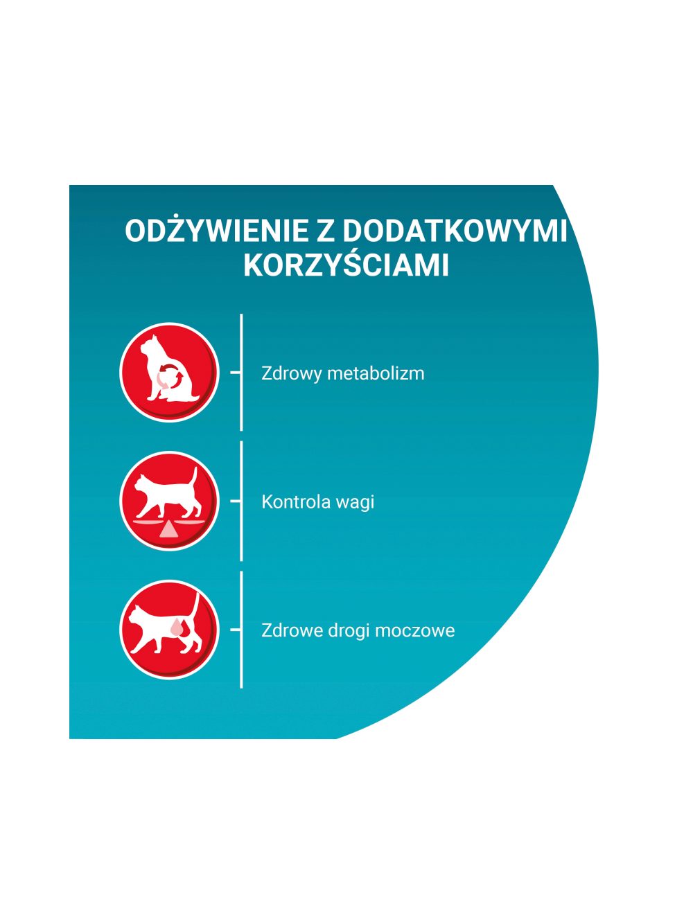 PURINA ONE Bifensis Sterilcat Karma dla kotów bogata w łososia 1,4 kg