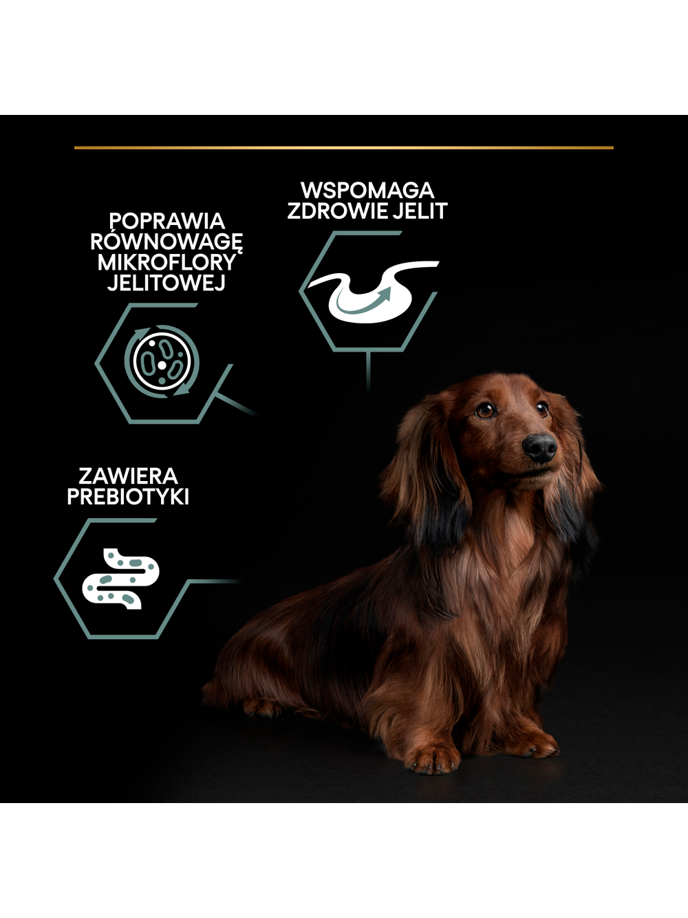 PRO PLAN Sensitive Digestion Small & Mini Karma dla psów bogata w jagnięcinę 7kg+ + niespodzianka dla psa GRATIS!