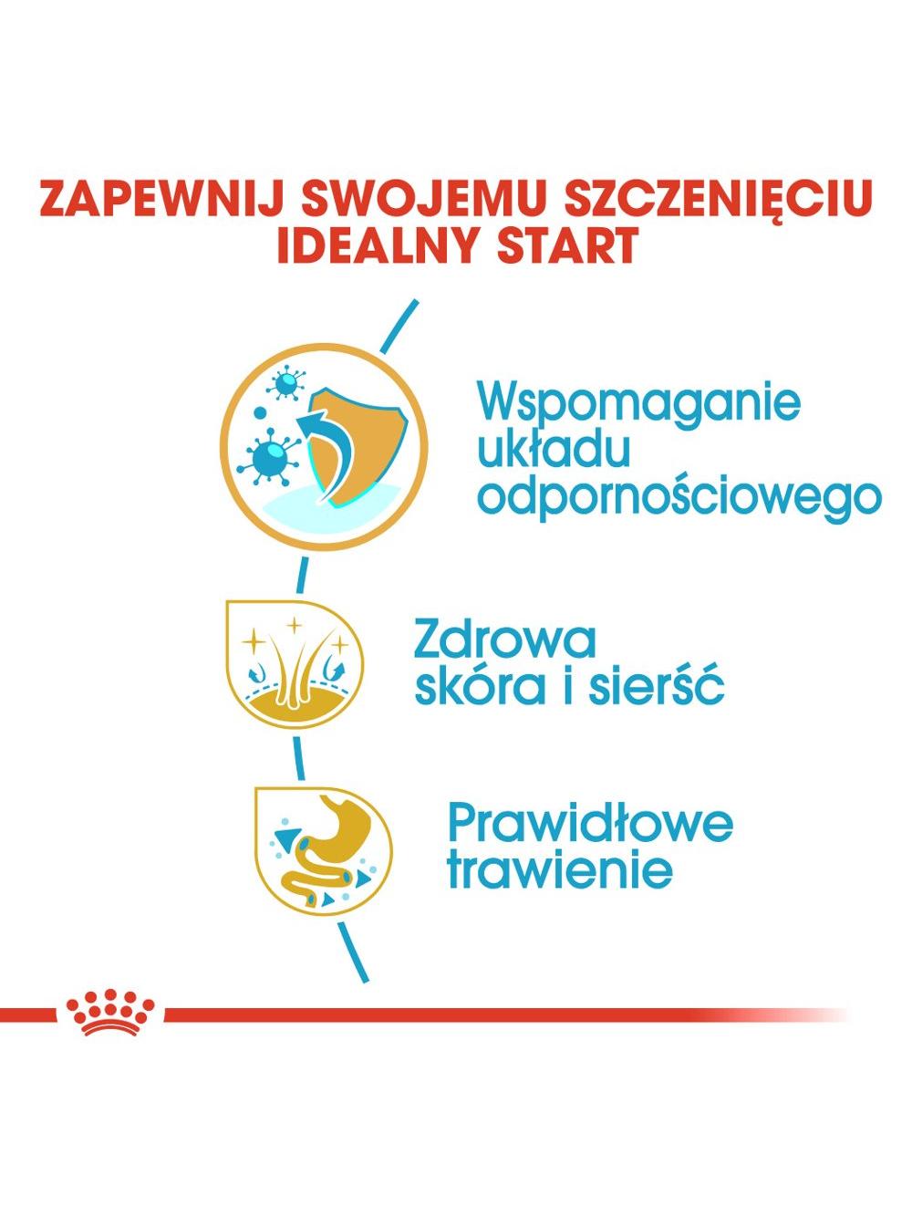 ROYAL CANIN Golden Retriever Puppy 12kg karma sucha dla szczeniąt do 15 miesiąca, rasy golden retriever/Opakowanie uszkodzone(9587)