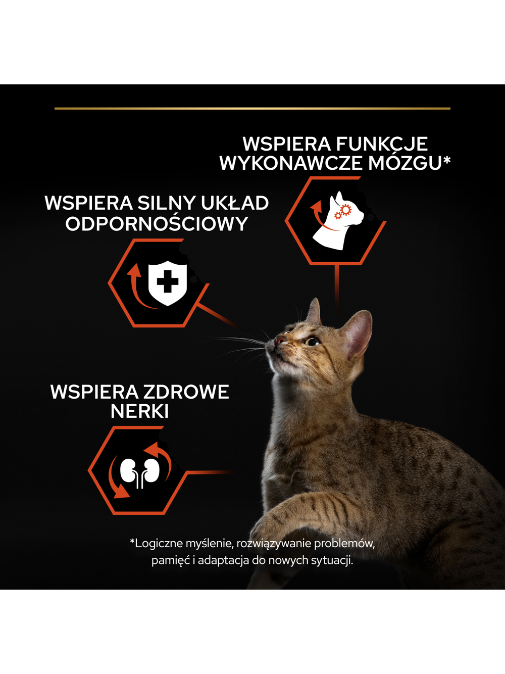 PRO PLAN Sterilised Vital Functions Karma dla kotów bogata w łososia 10kg/Opakowanie uszkodzone (9107,9366) !!!