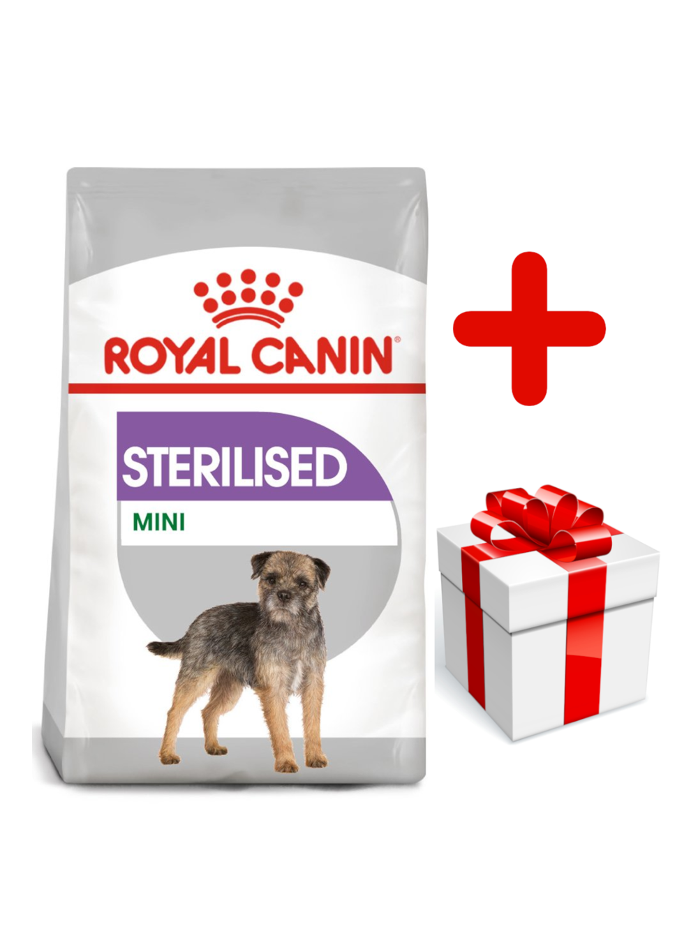 ROYAL CANIN CCN Mini Sterilised  8kg + niespodzianka dla psa GRATIS!