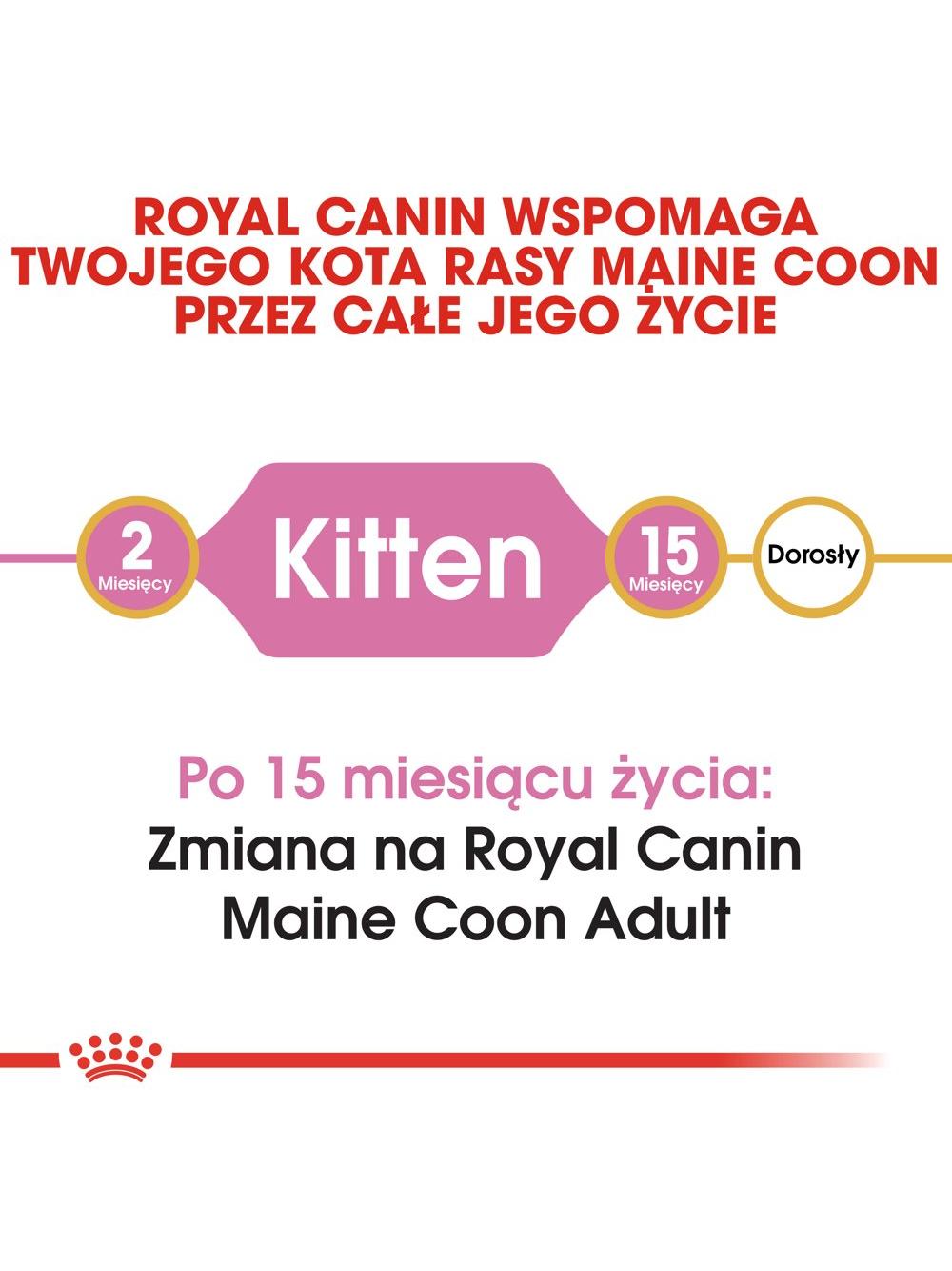 ROYAL CANIN Maine Coon Kitten 10kg +  niespodzianka dla kota GRATIS!