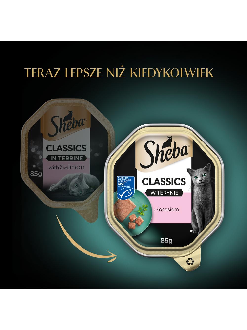 SHEBA Classics tacka 22x85 g – mokra karma pełnoporcjowa dla dorosłych kotów, z łososiem, w terynie