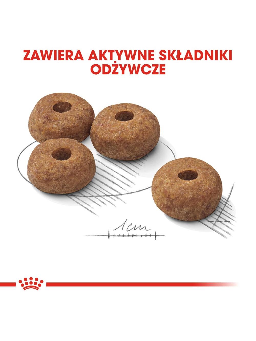 ROYAL CANIN CCN Medium Sterilised 3kg karma sucha dla psów dorosłych, ras średnich, sterylizowanych