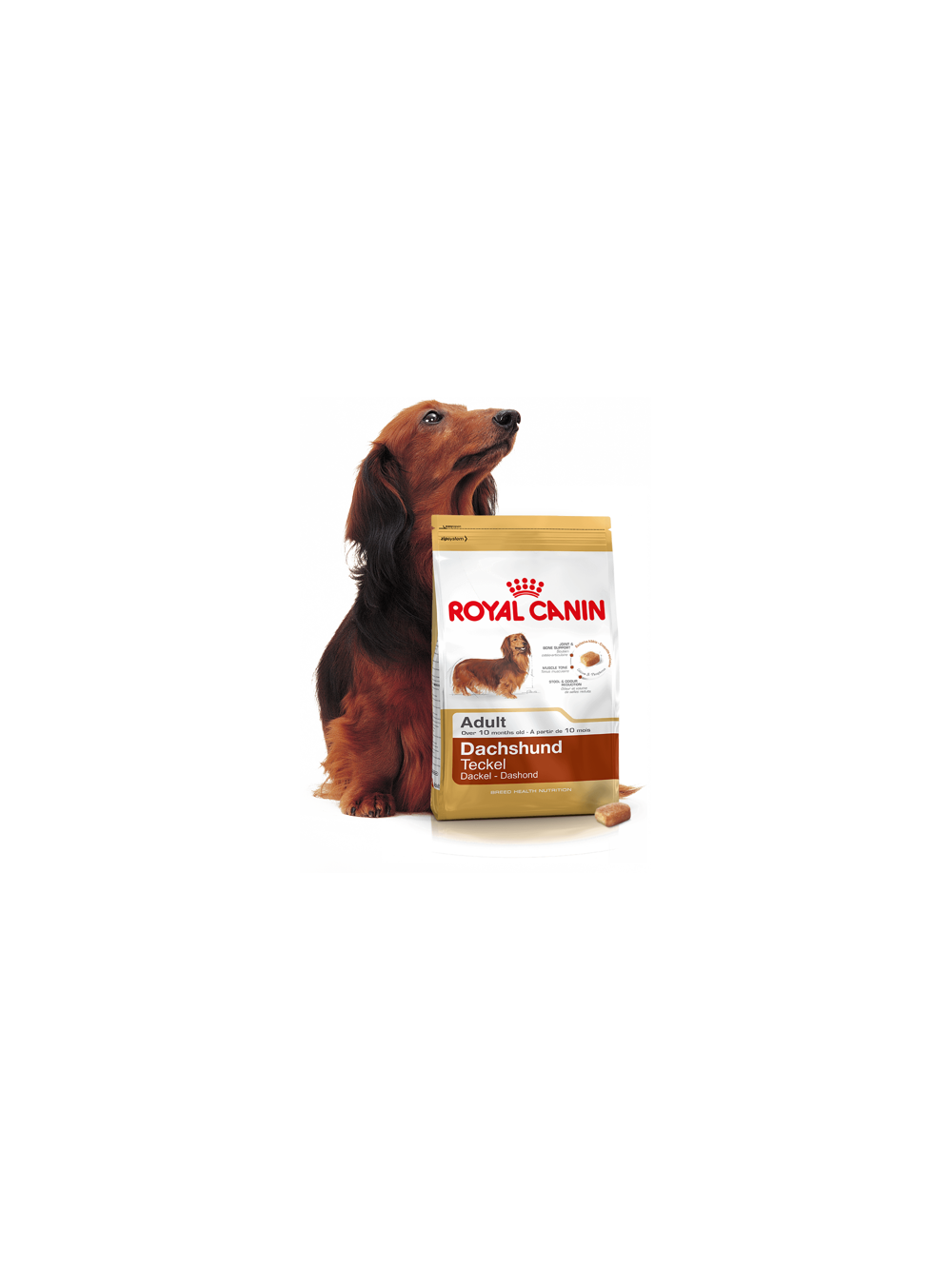 ROYAL CANIN Dachshund 7,5kg karma sucha dla psów dorosłych rasy jamnik + niespodzianka dla psa GRATIS!