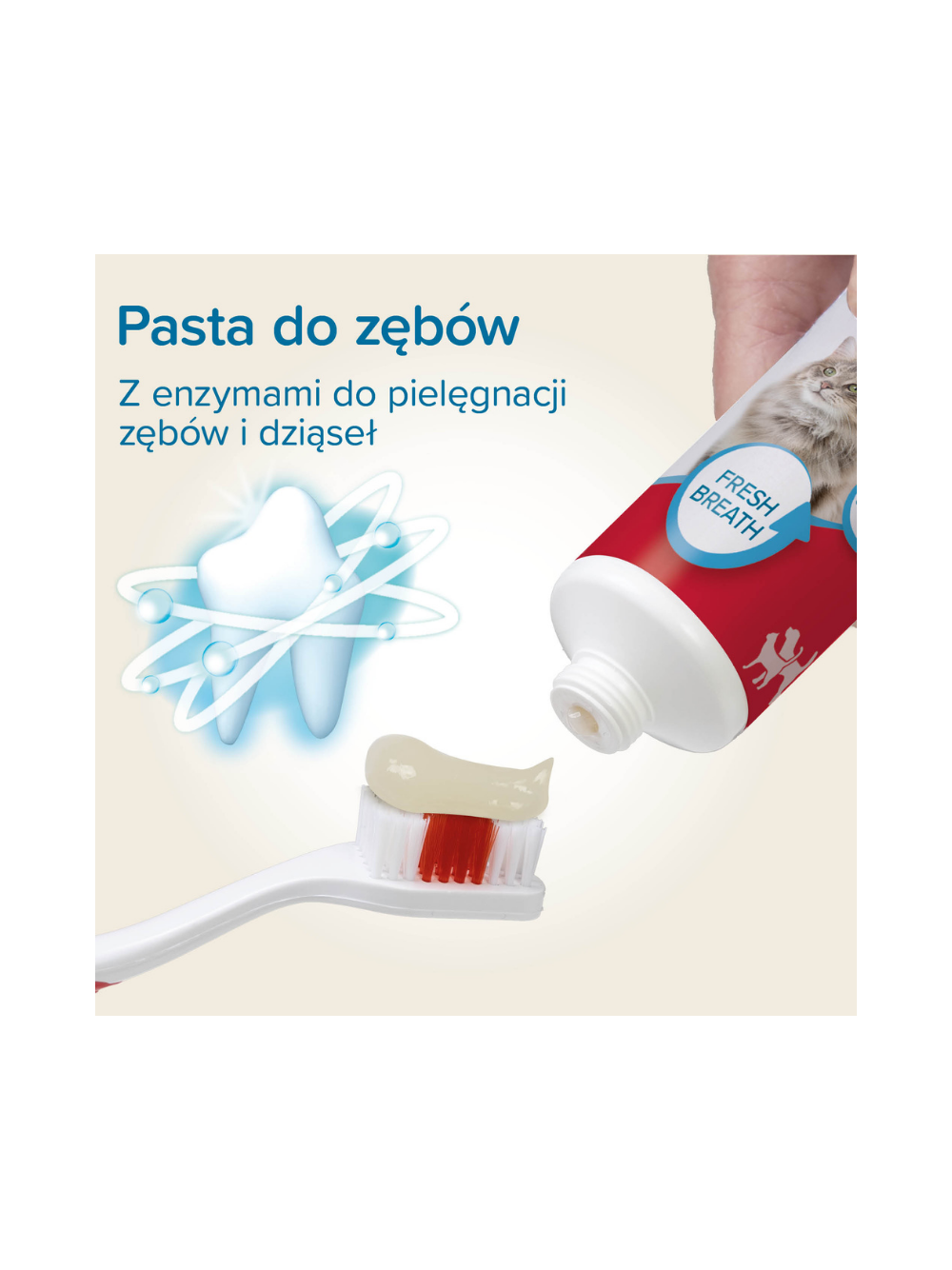 BEAPHAR-PASTA DO ZĘBÓW 100G - pasta do zębów o smaku wątróbki dla psów i kotów