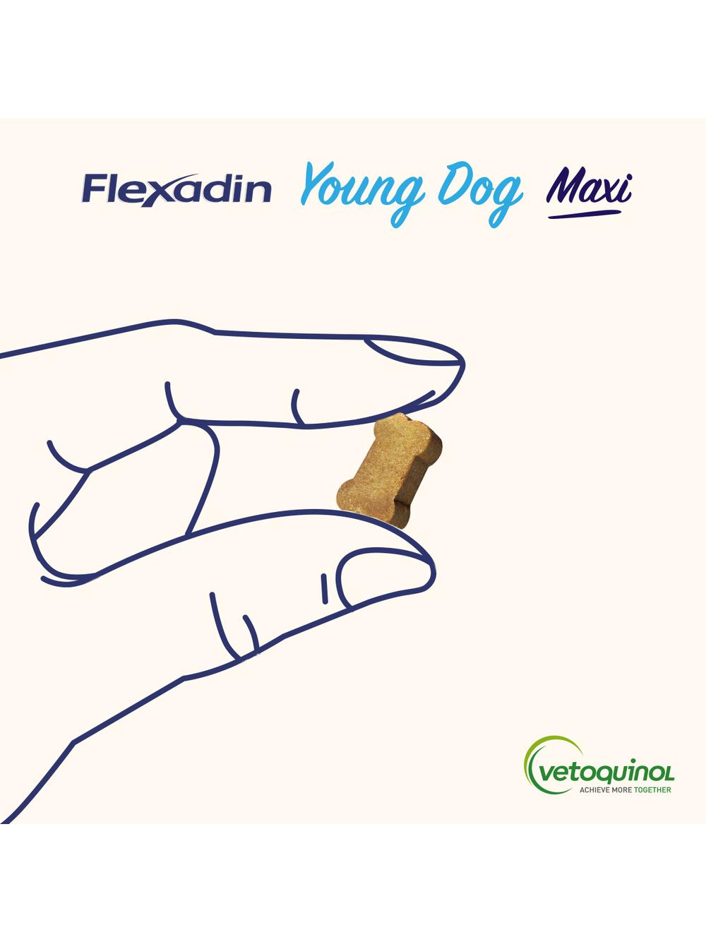 VETOQUINOL Flexadin Young Dog Maxi 60 kąsków