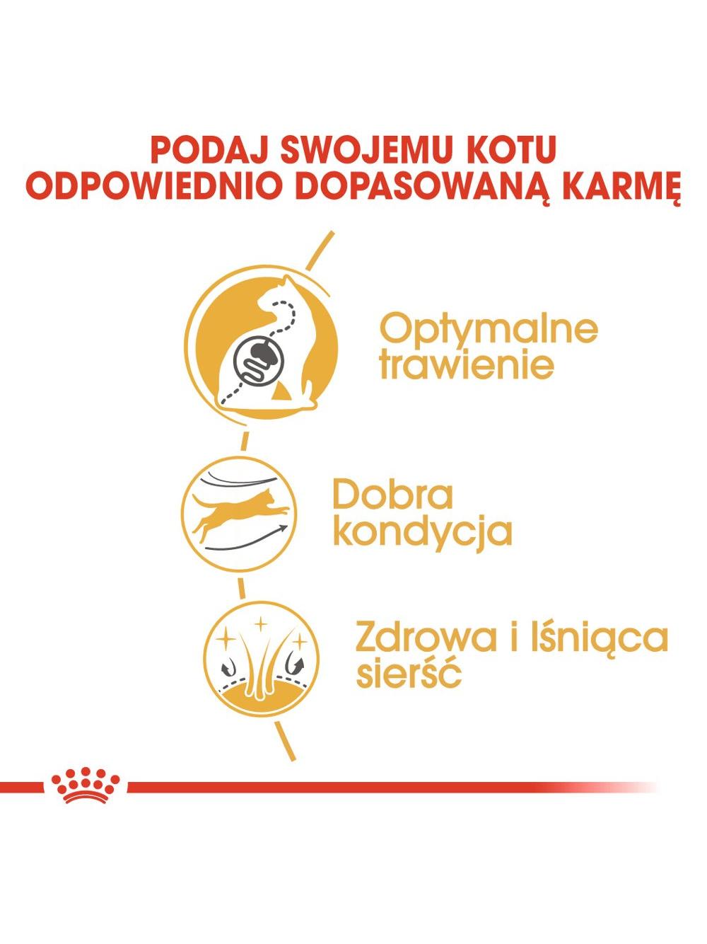 ROYAL CANIN Bengal Adult 10kg karma sucha dla kotów dorosłych rasy bengal + Royal Canin piłka dla kota GRATIS!!!