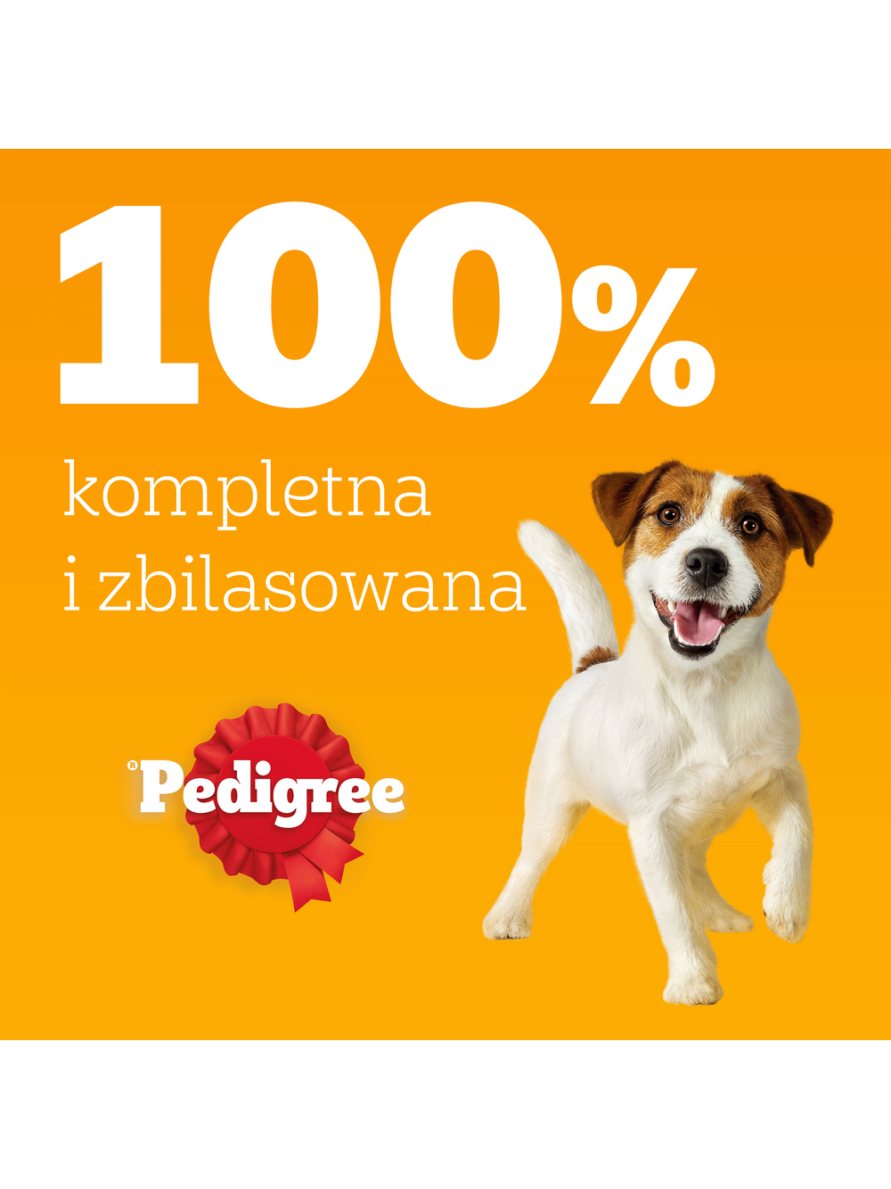 PEDIGREE Adult saszetka 40x100 g - Mix Smaków w Galaretce - mokra karma pełnoporcjowa w galaretce dla dorosłych psów