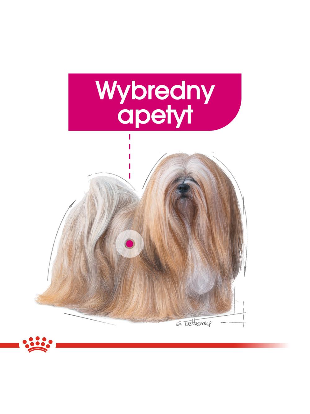 ROYAL CANIN CCN Mini Exigent 1kg karma sucha dla psów dorosłych, ras małych, wybrednych