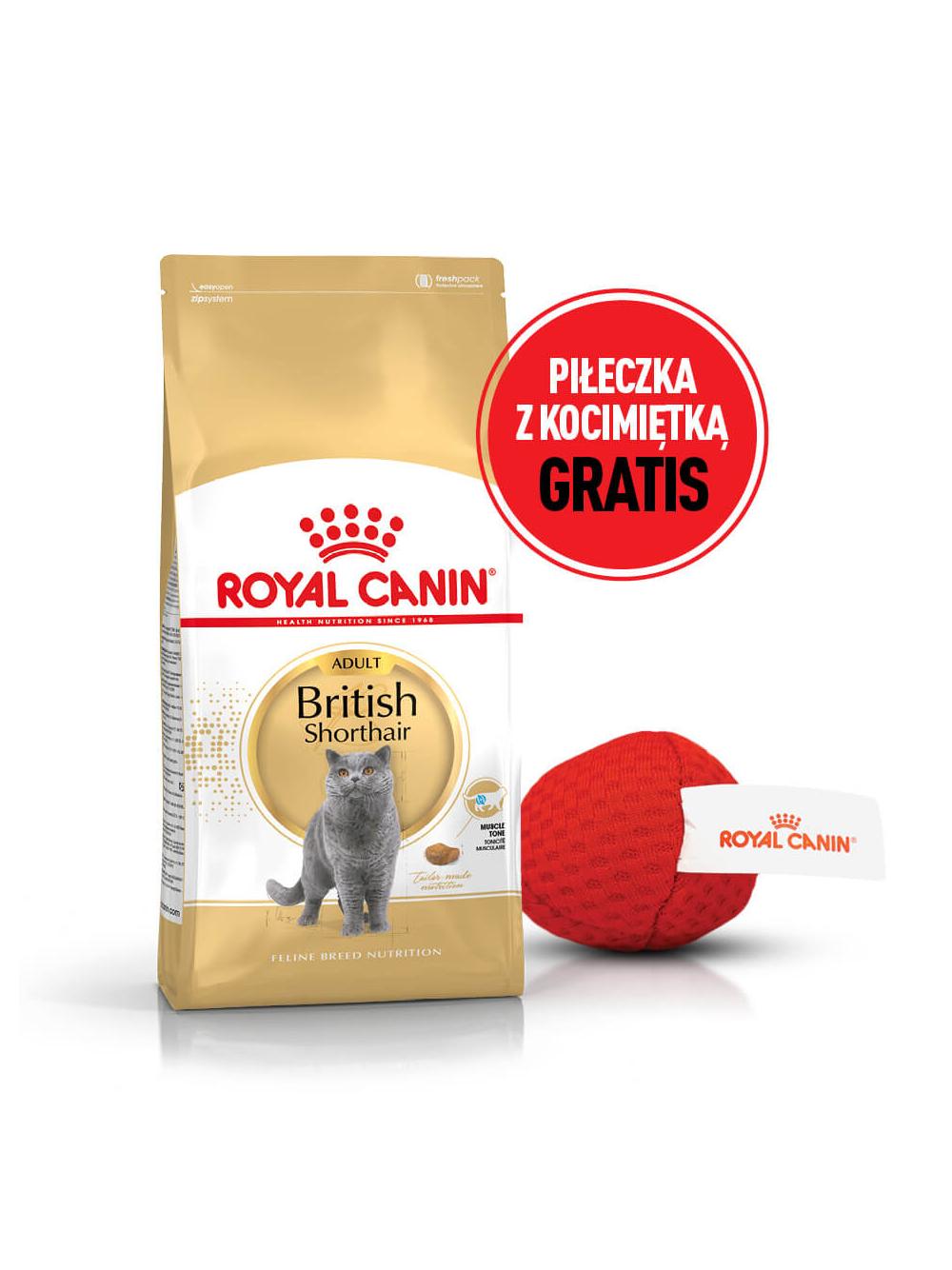ROYAL CANIN British Shorthair 10kg karma sucha dla kotów dorosłych rasy brytyjski krótkowłosy + Piłka dla kota GRATIS!