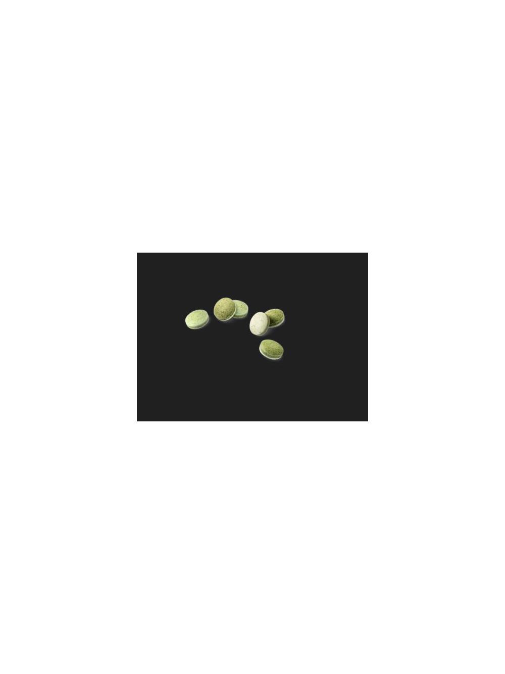 GIMCAT Nutri Dental Bites 40g