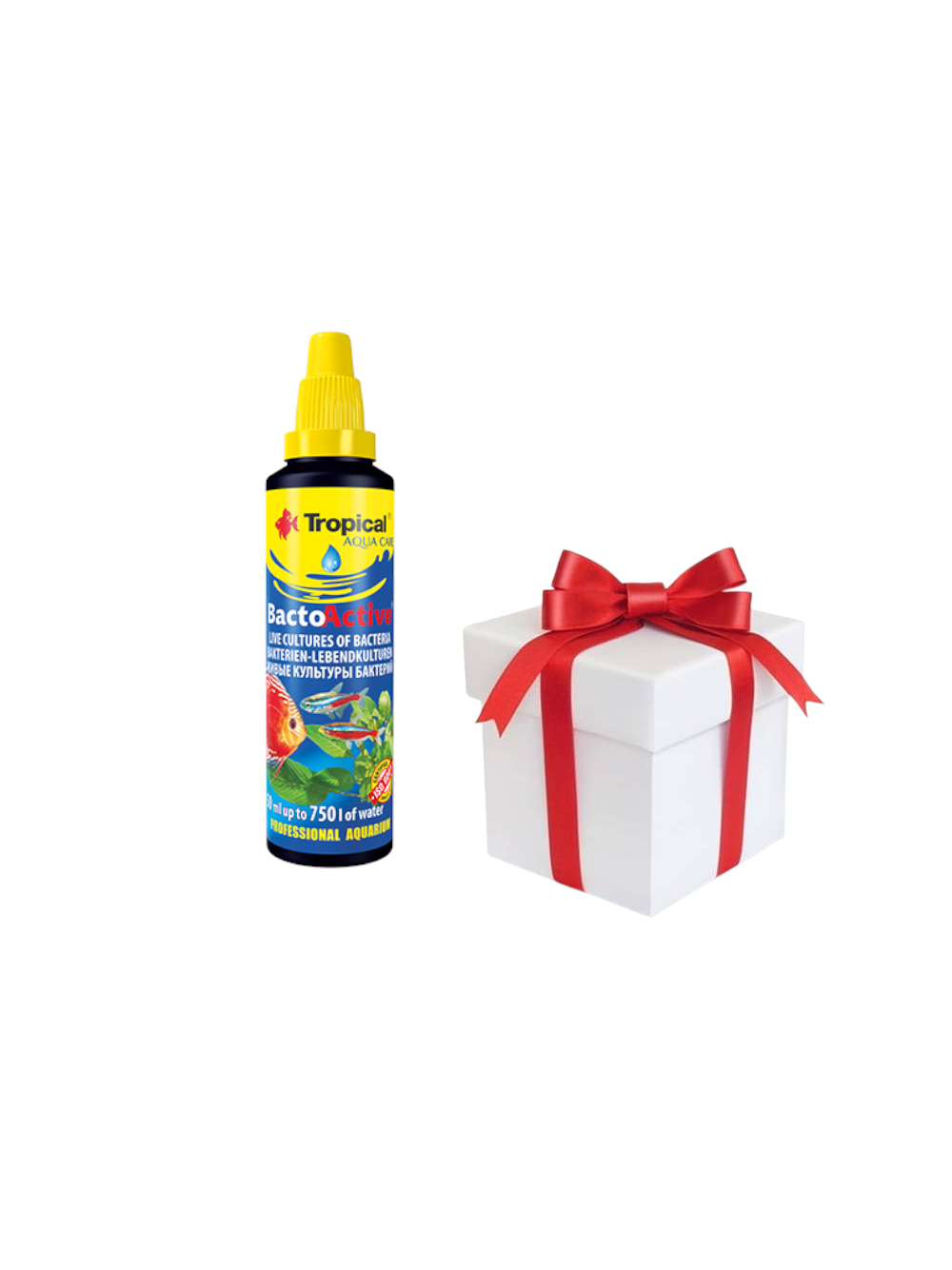 TROPICAL Bacto-Active 100ml + próbka karmy dla rybek Tropical