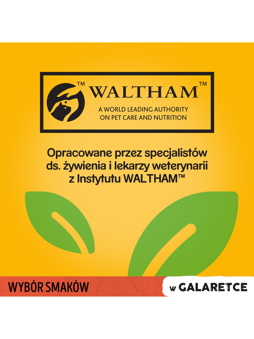 PEDIGREE Adult saszetka 13x(4x100g) - Wybór Smaków w Galaretce, mokra karma pełnoporcjowa w galaretce dla dorosłych psów (kawałki bogate w mieszankę wołowiny i wątróbki oraz kawałki bogate w drób)