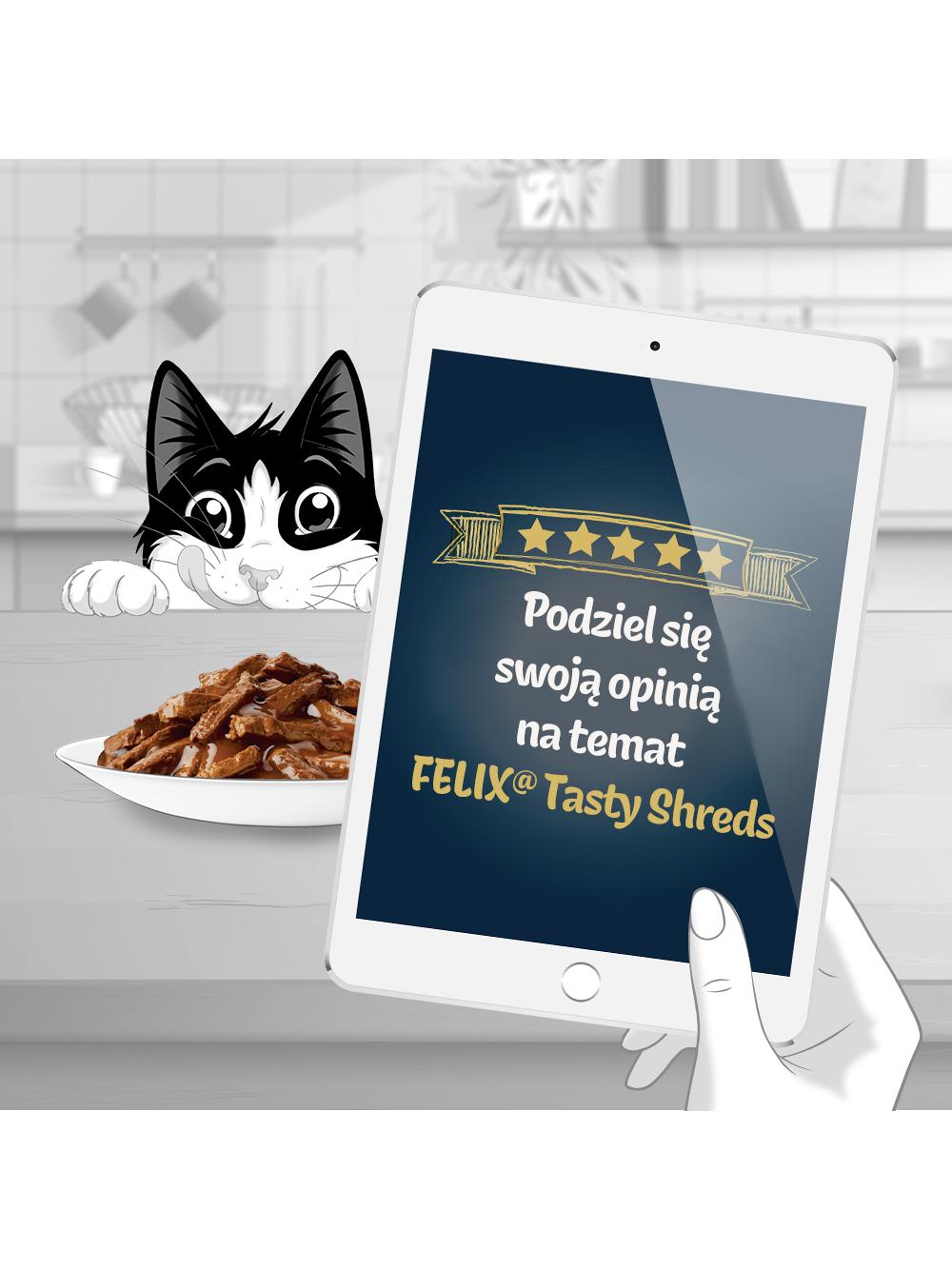 FELIX Tasty Shreds Karma dla dorosłych kotów wiejskie smaki w sosie 4x80g