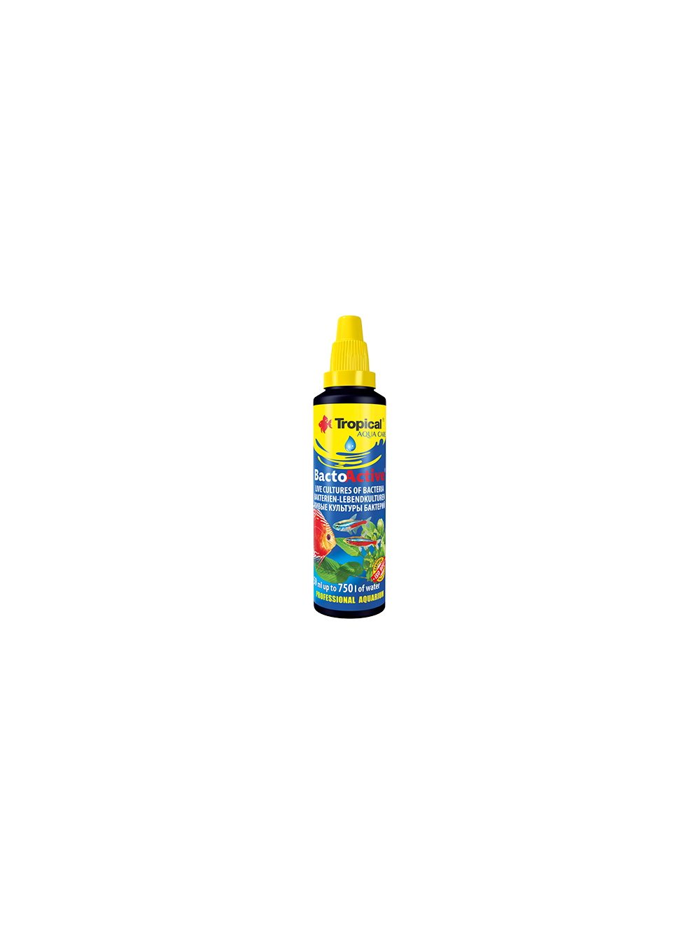 TROPICAL Bacto-Active 250ml + próbka karmy dla rybek Tropical