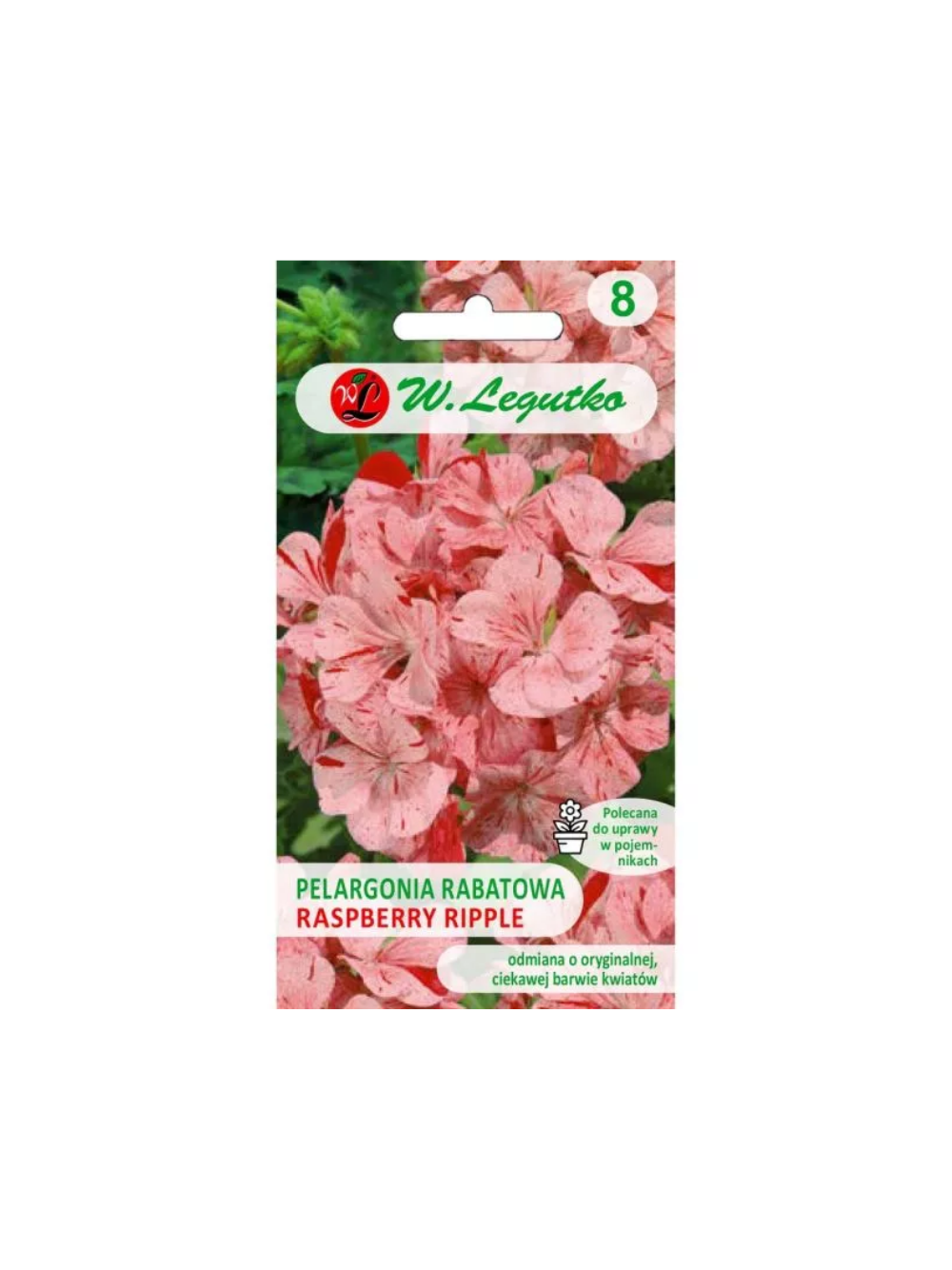 Pelargonia rabatowa Divas F1- Raspberry Ripple - pstra, pomarańczowo-czerwona