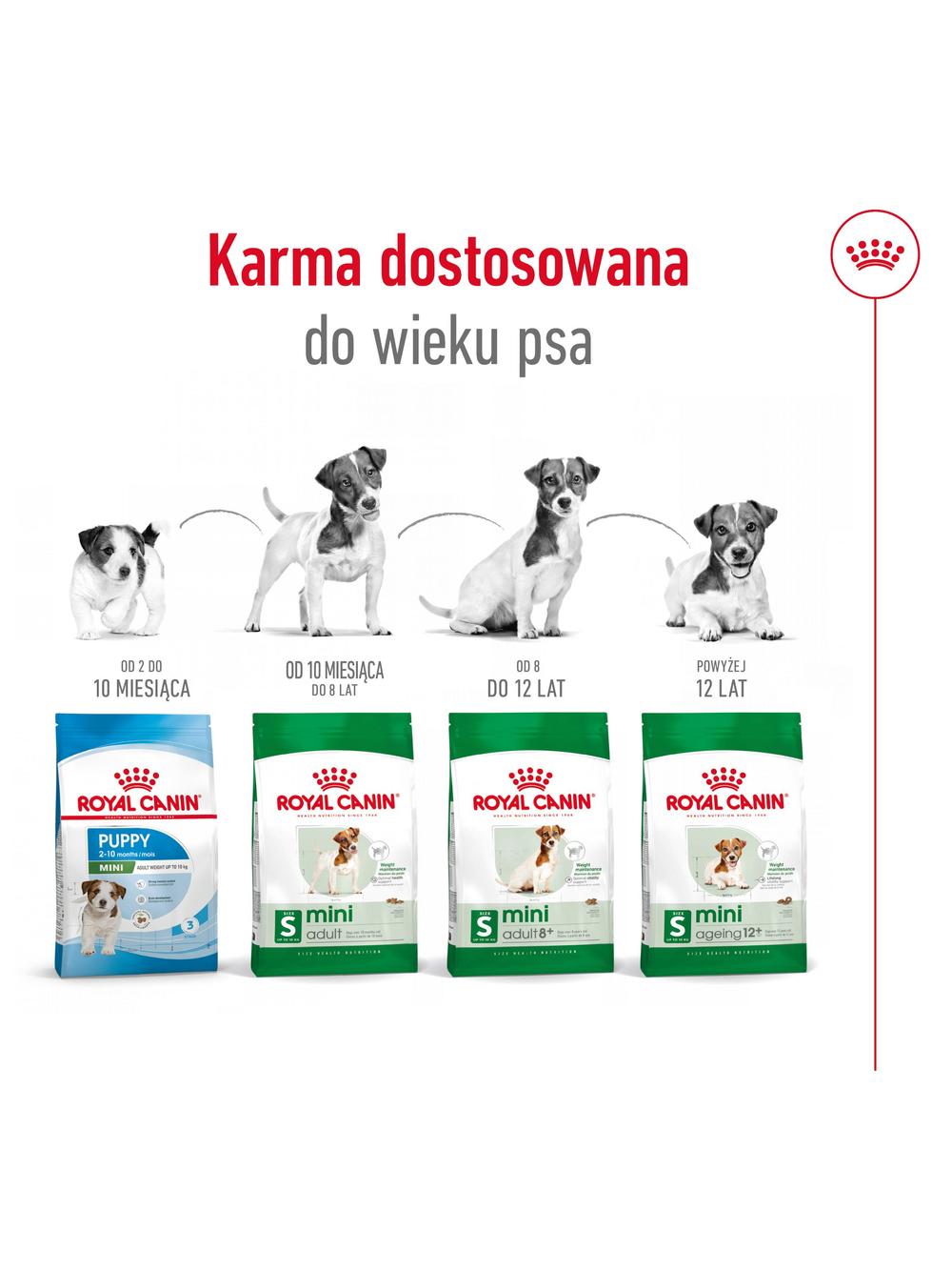 ROYAL CANIN Mini Adult 800g karma sucha dla psów dorosłych, ras małych + niespodzianka dla psa GRATIS