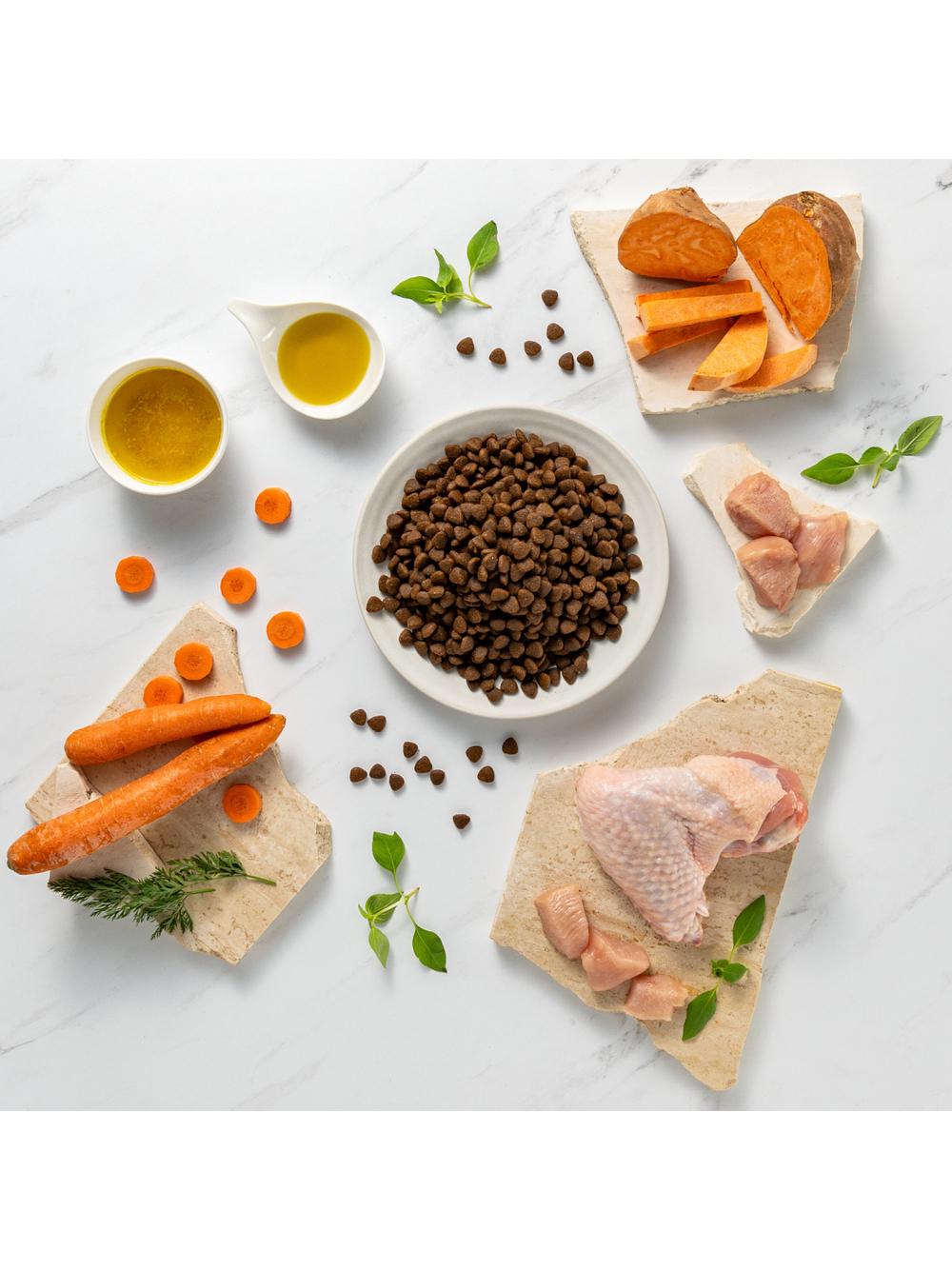 Vetexpert Raw Paleo Turkey Adult Medium/ Large 10kg