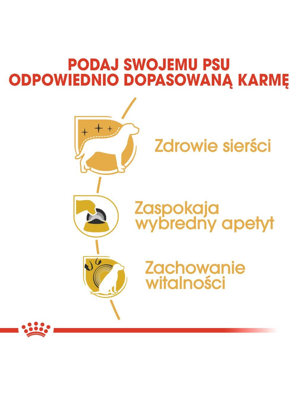 ROYAL CANIN Yorkshire Terrier Adult 3kg karma sucha dla psów dorosłych rasy Yorkshire Terrier