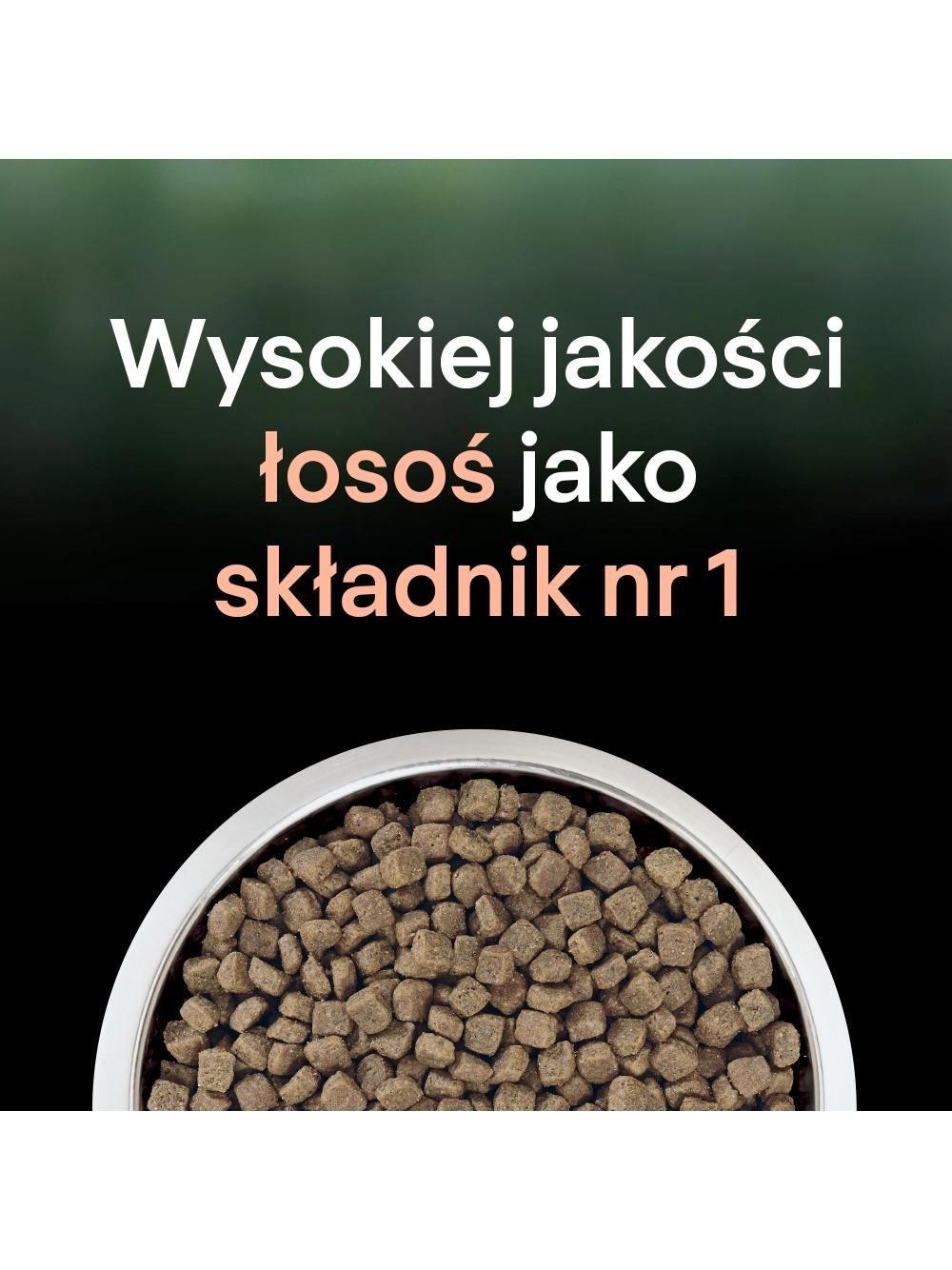 PRO PLAN LiveClear Karma dla dorosłych kotów po zabiegu sterylizacji bogata w łososia 1,4 kg / Opakowanie uszkodzone (4737,4918,6916,6905) !!!