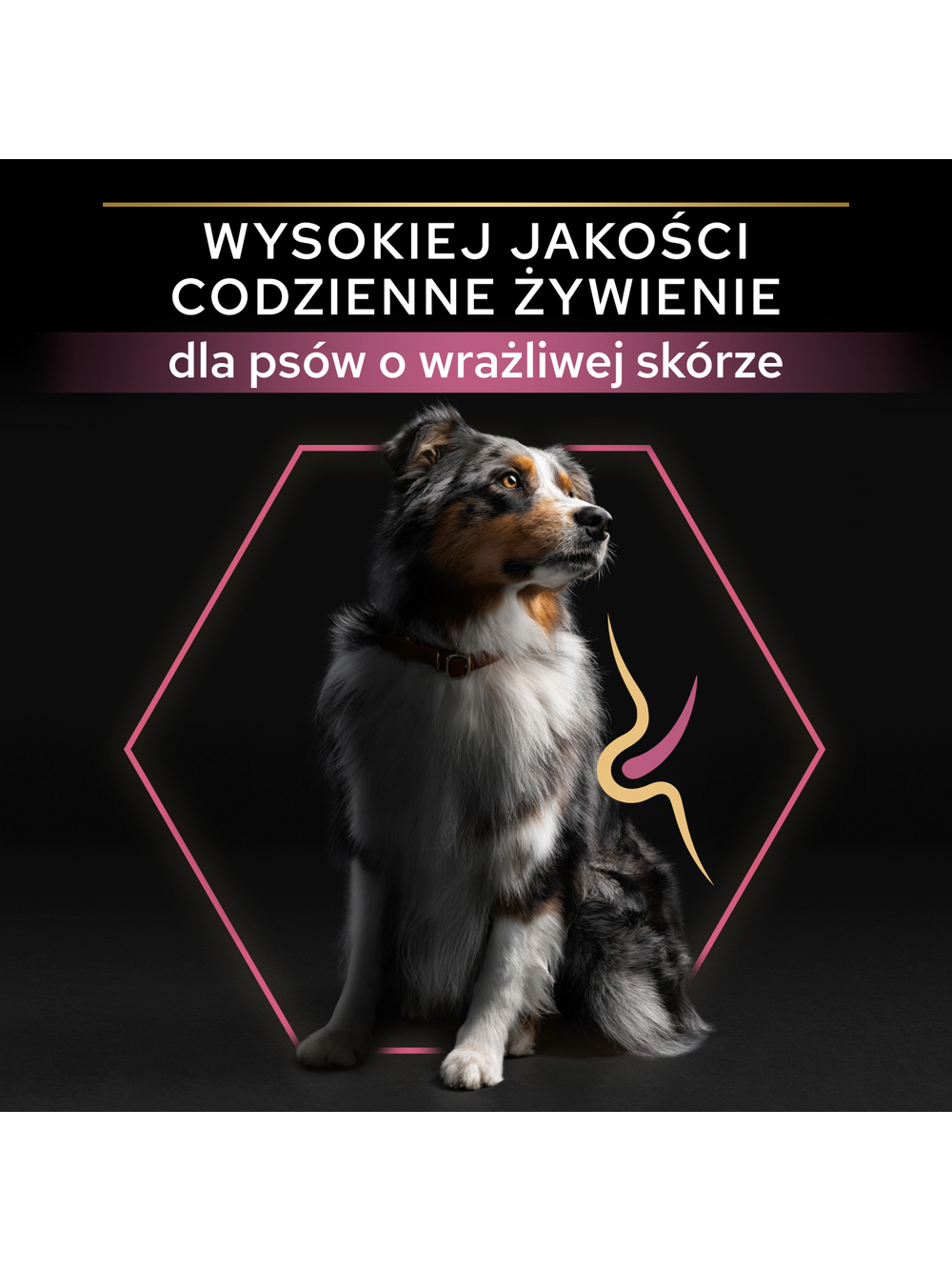 PRO PLAN Sensitive Skin Medium Adult Karma dla psów bogata w łososia 14kg