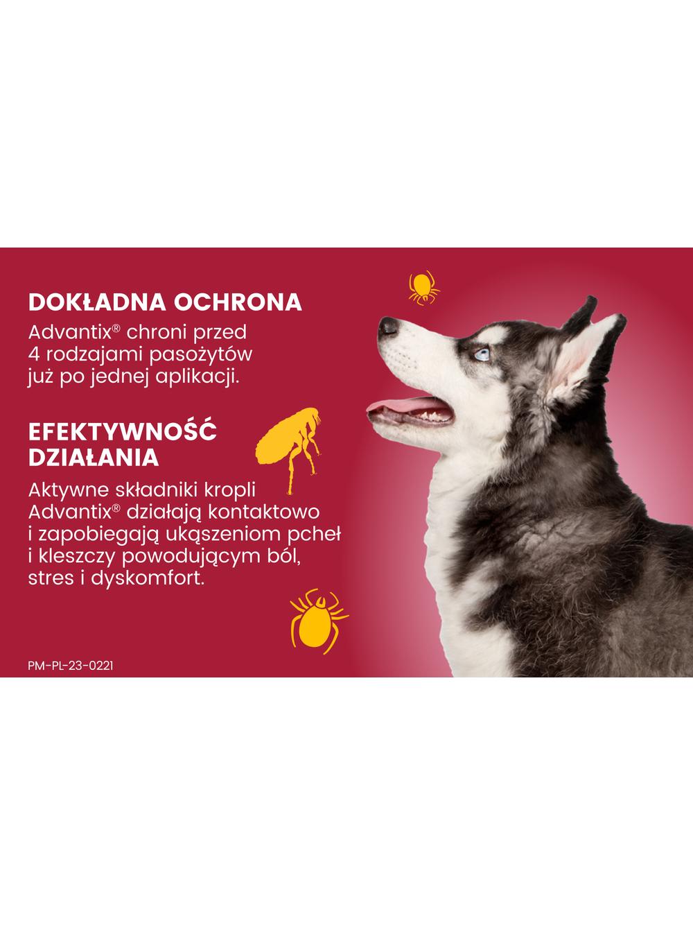 Advantix - dla psów 10-25kg (pipeta 2,5ml)+ Cestal Dog Plus tabletki na odrobaczanie psów 2 sztuki
