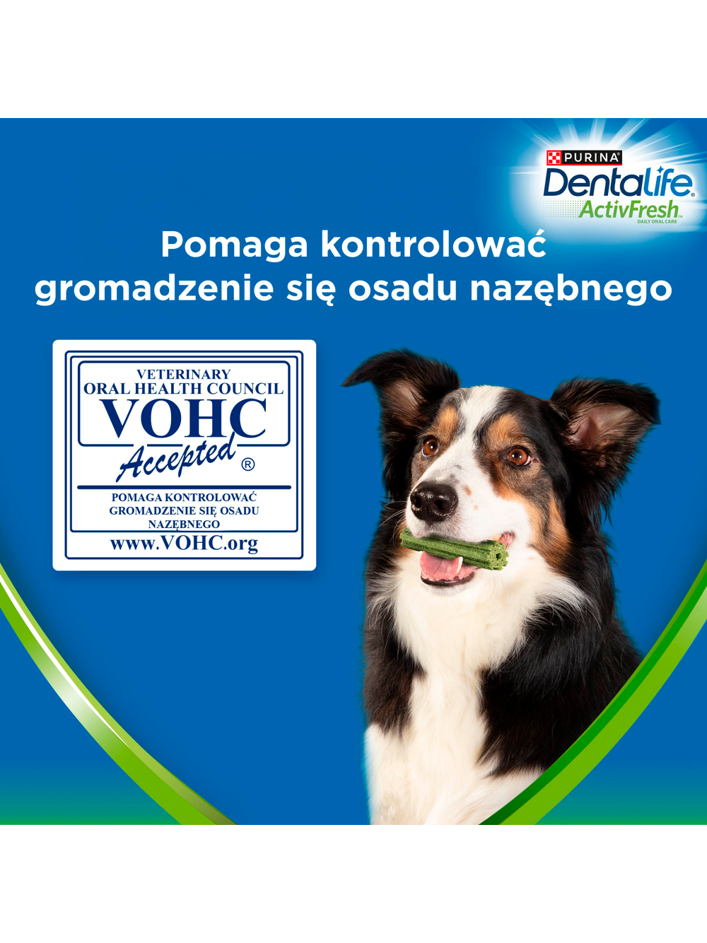 Purina Dentalife Activefresh Large 142g