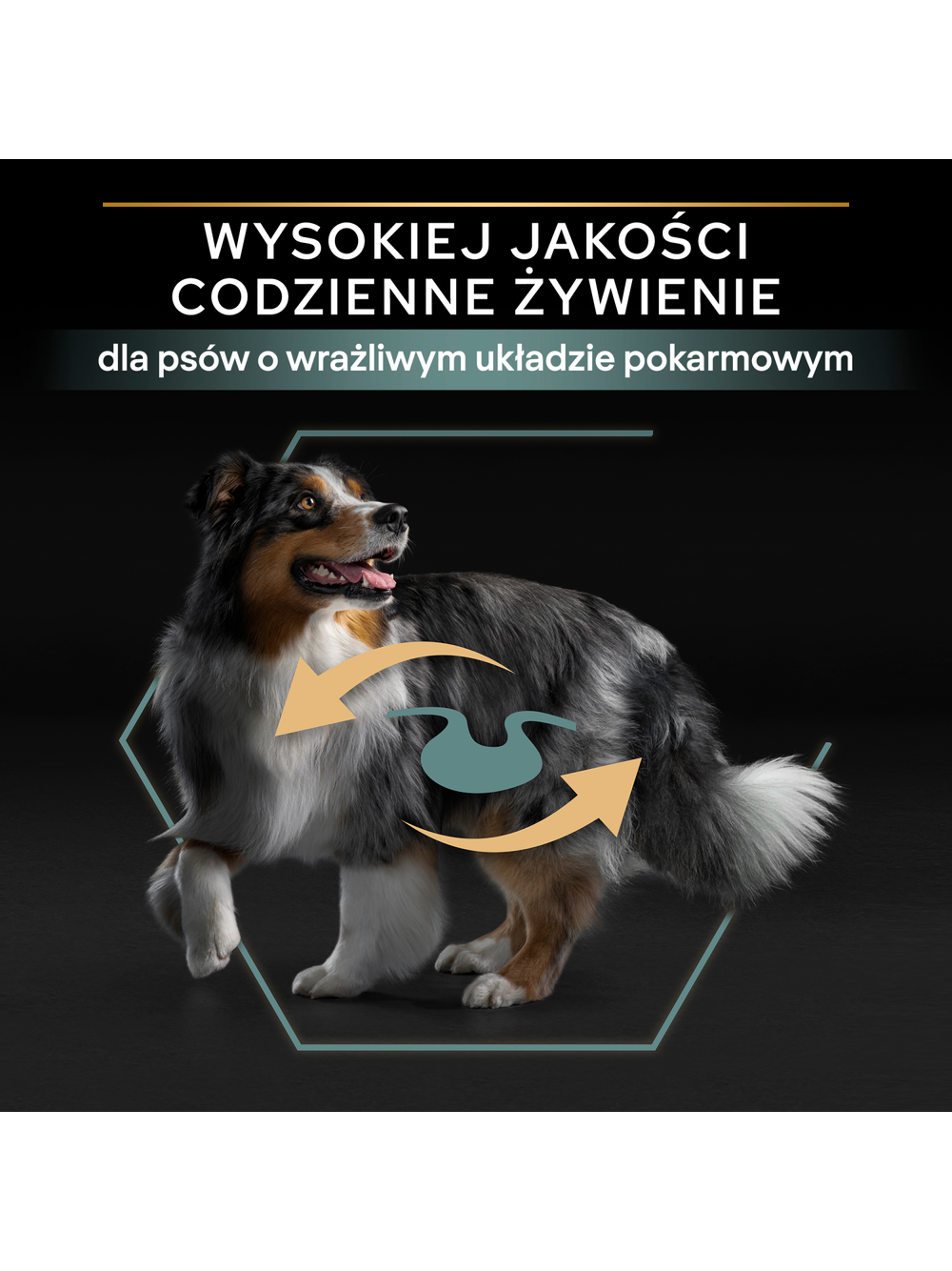 PRO PLAN Sensitive Digestion Medium Adult Karma dla psów bogata w jagnięcinę 14kg + NIESPODZIANKA DLA PSA GRATIS!!