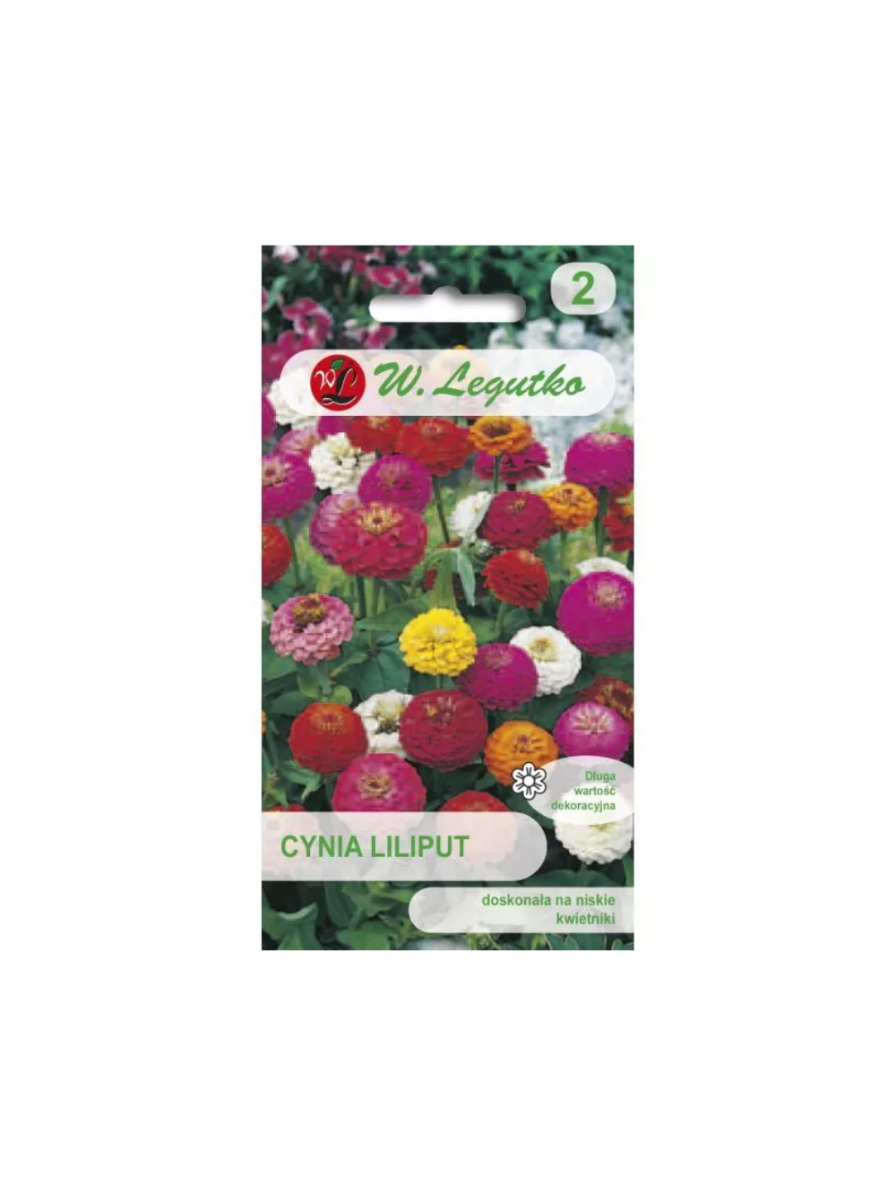 Cynia wytworna Liliput mieszanka