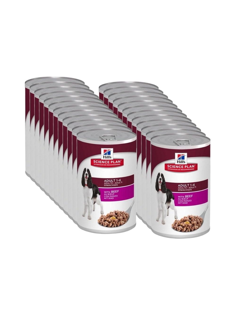 HILL'S SP Science Plan Canine Adult wołowina 24x370g - puszka