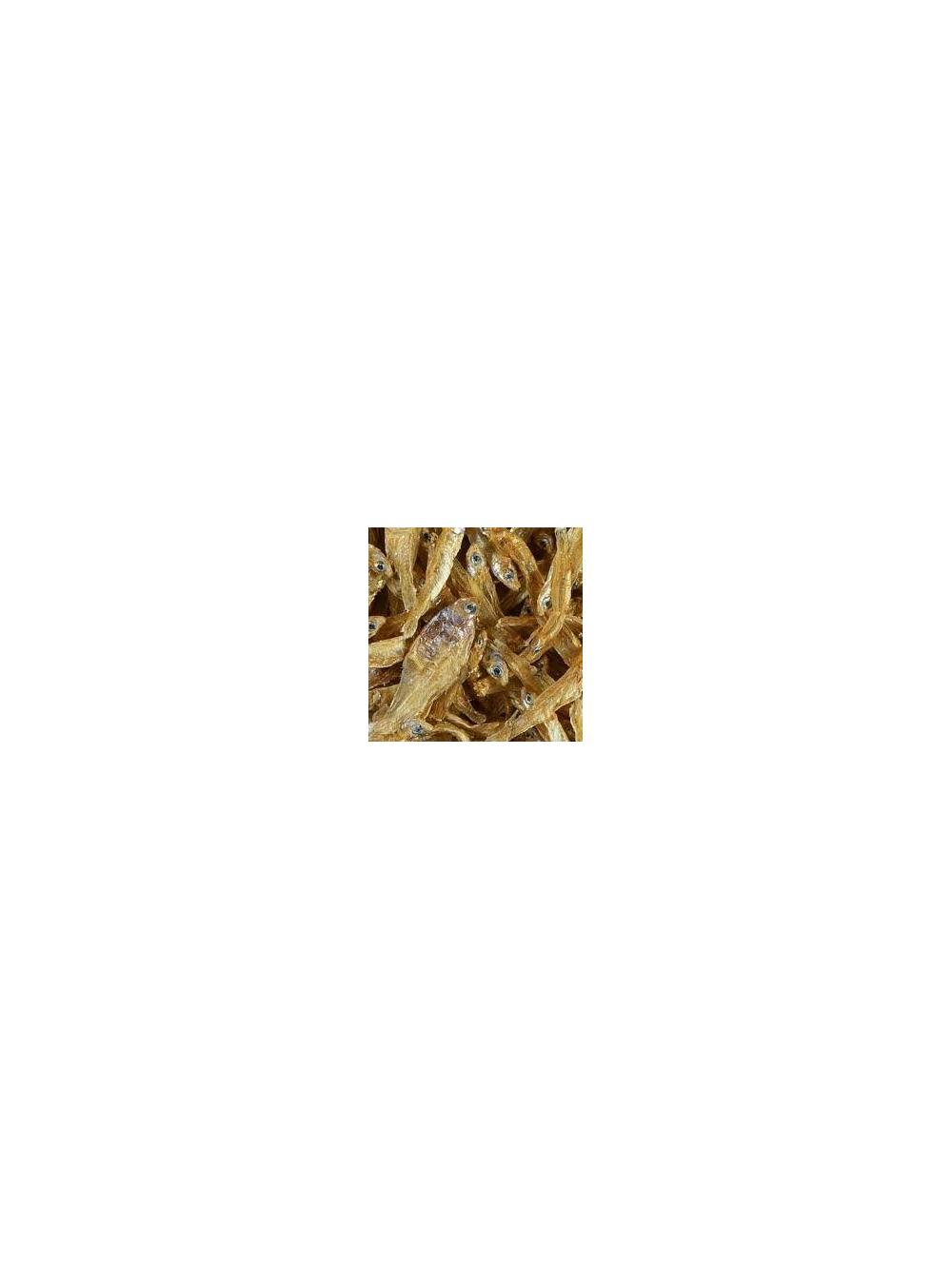 TETRA  Anchovies opak. 1l