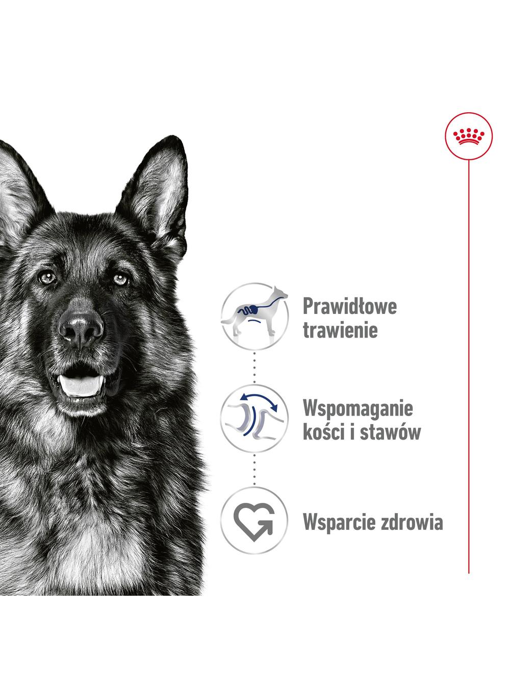 ROYAL CANIN® Maxi Adult 410g karma mokra , pasztet dla psów dorosłych , ras dużych