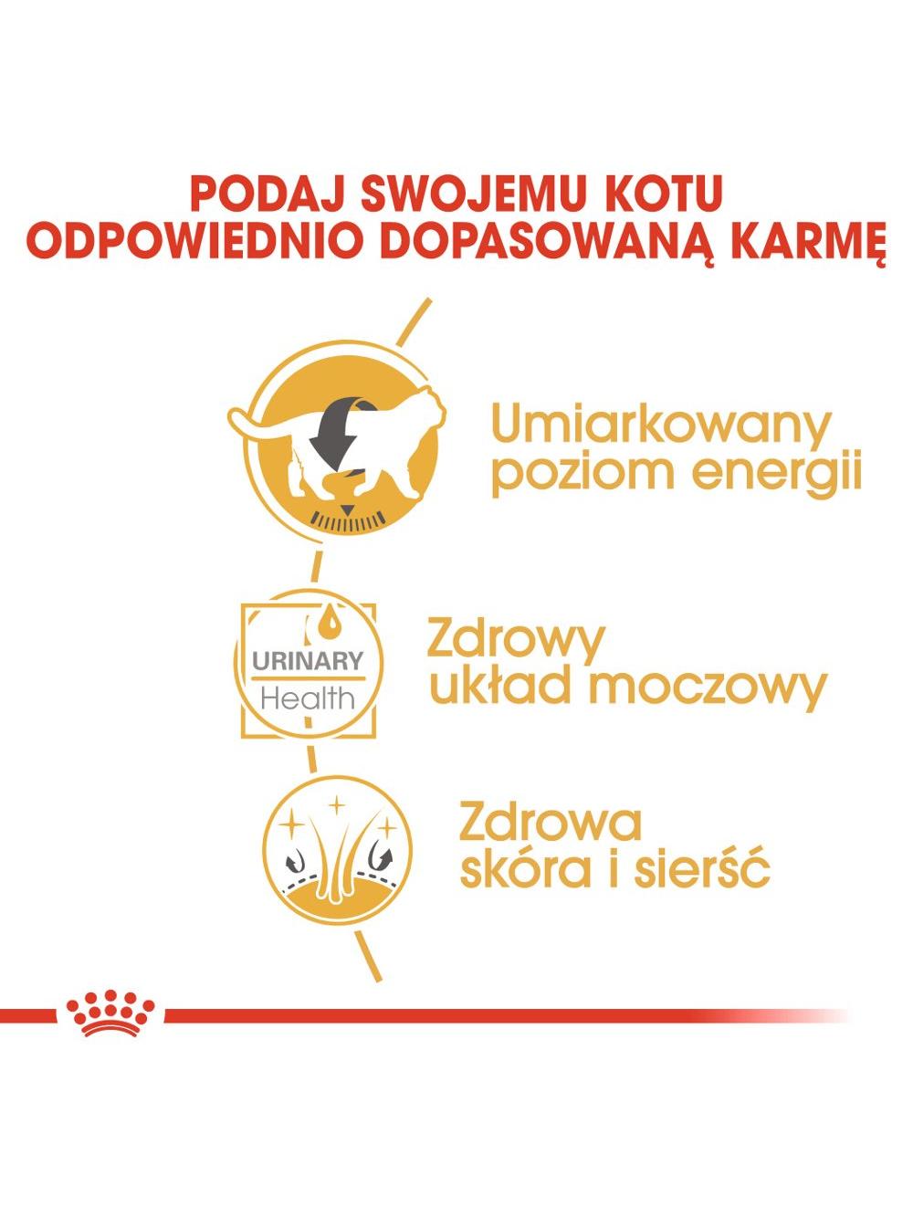 ROYAL CANIN British Shorthair Adult saszetka 12x85g (Sos) karma mokra w sosie dla kotów dorosłych rasy brytyjski krótkowłosy