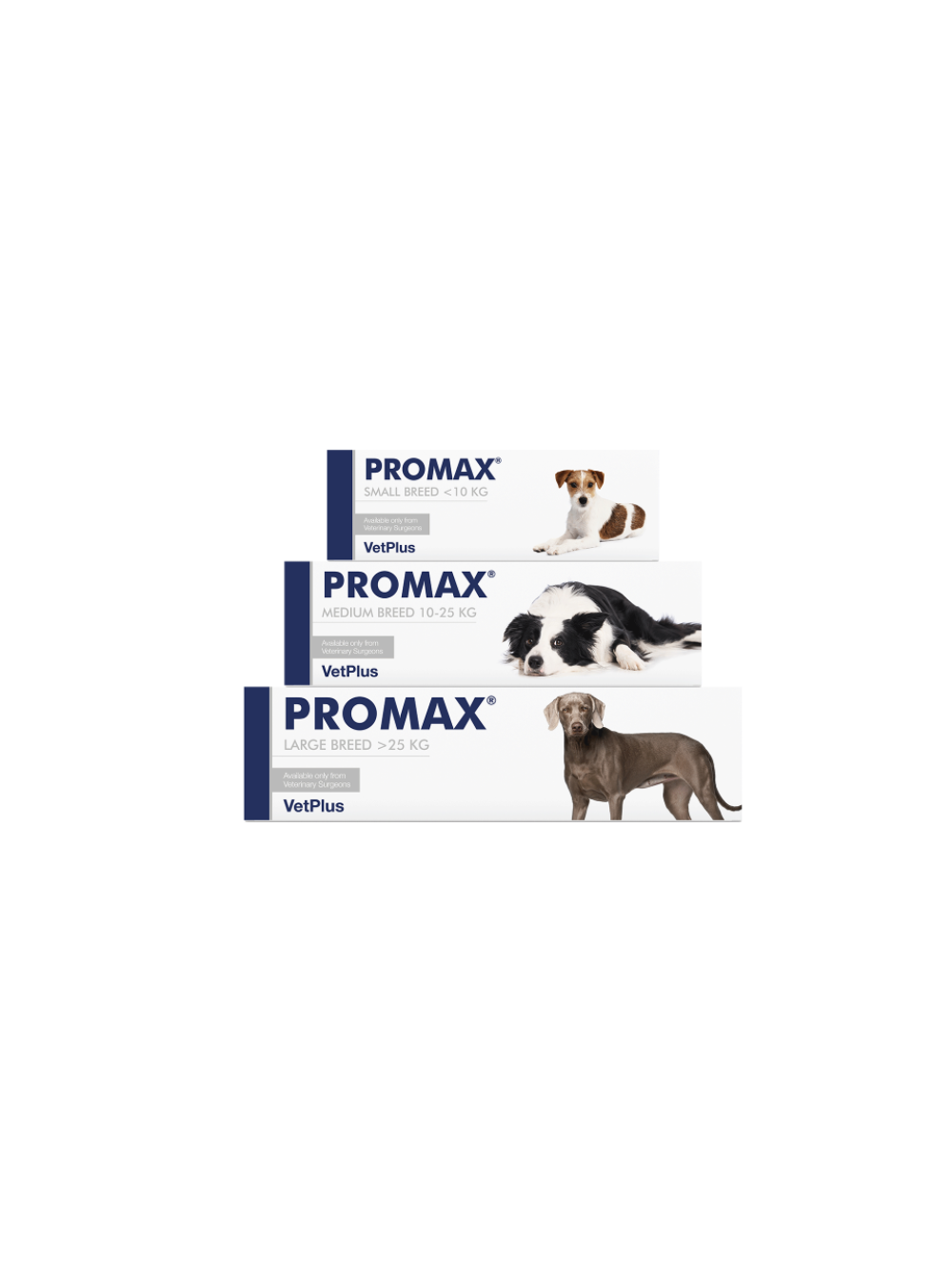 VetPlus Promax probiotyk dla psów średnich ras 18ml