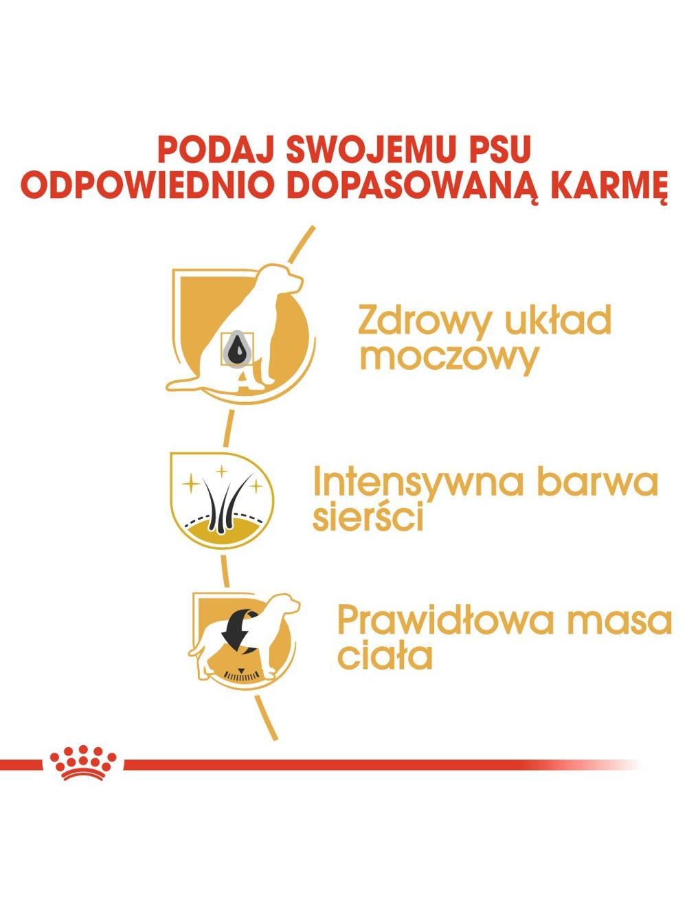 ROYAL CANIN Miniature Schnauzer Adult 7,5kg karma sucha dla psów dorosłych rasy schnauzer miniaturowy