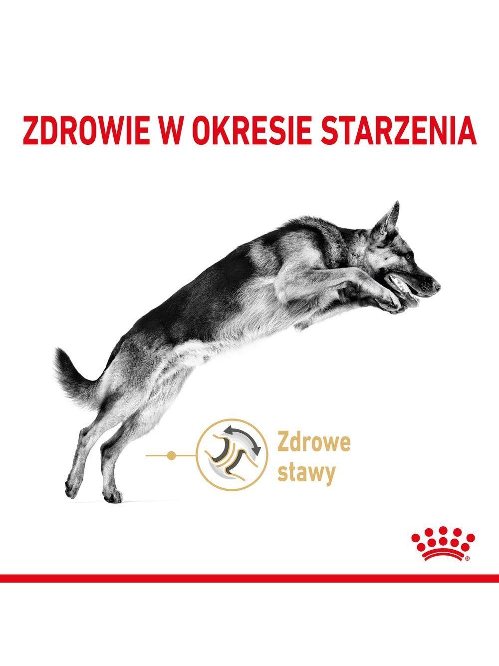 ROYAL CANIN German Shepherd Adult 5+ 12kg karma sucha dla psów dorosłych rasy owczarek niemiecki, powyżej 5 roku życia