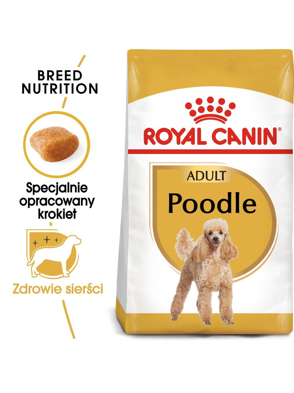 ROYAL CANIN Poodle Adult 1,5kg karma sucha dla psów dorosłych rasy pudel miniaturowy/ opakowanie uszkodzone (7157)!!!!