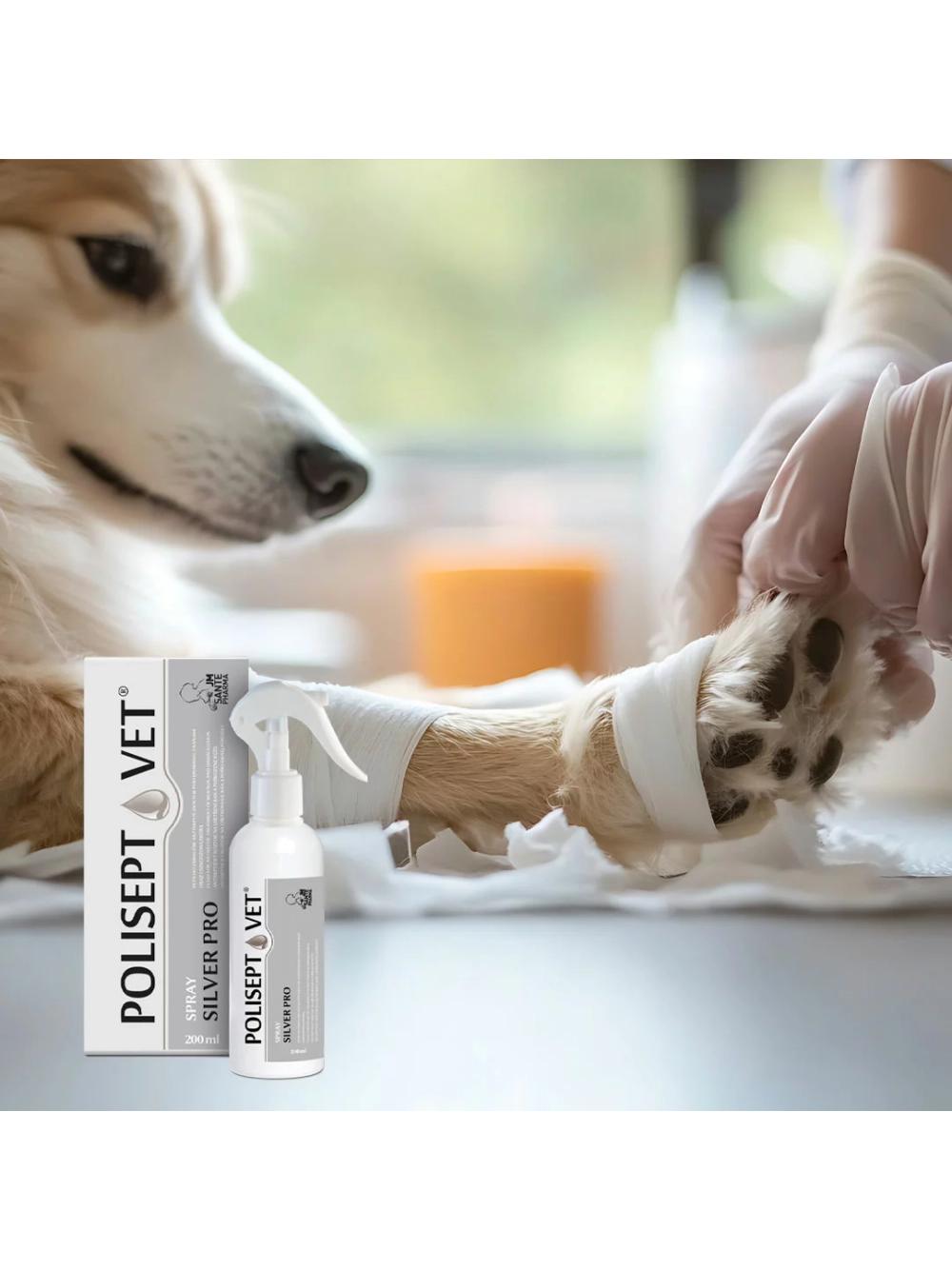 POLISEPT VET® SPRAY SILVER PRO – spray na rany dla psa i kota 200 ml