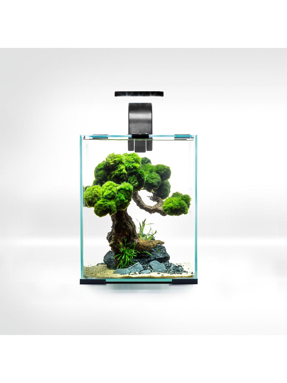 AQUAEL Zestaw Aquael Shrimp Set Smart Day & Night [10l] - czarny